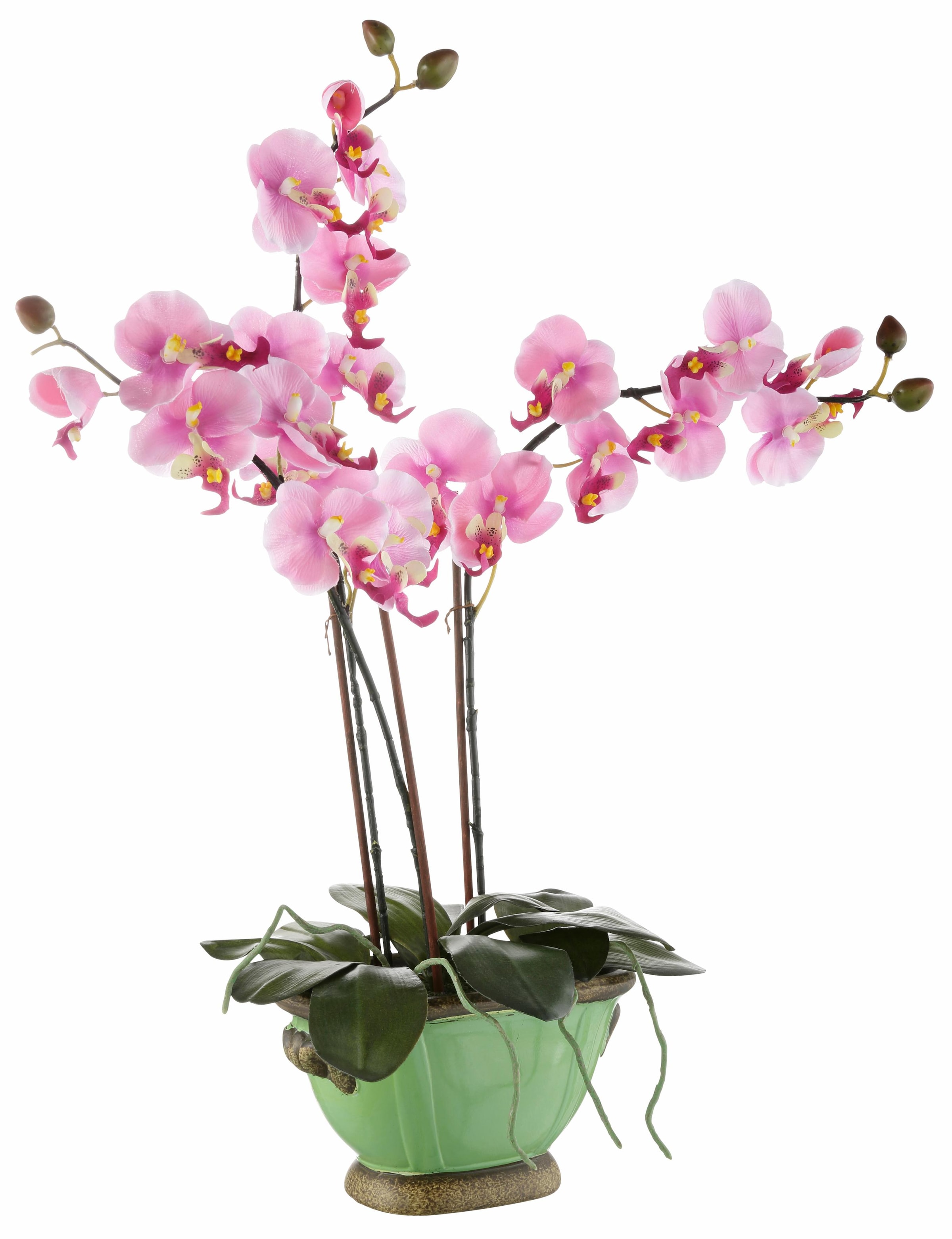 I.GE.A. Kunstpflanze »Orchidee«, (1 St.) kaufen