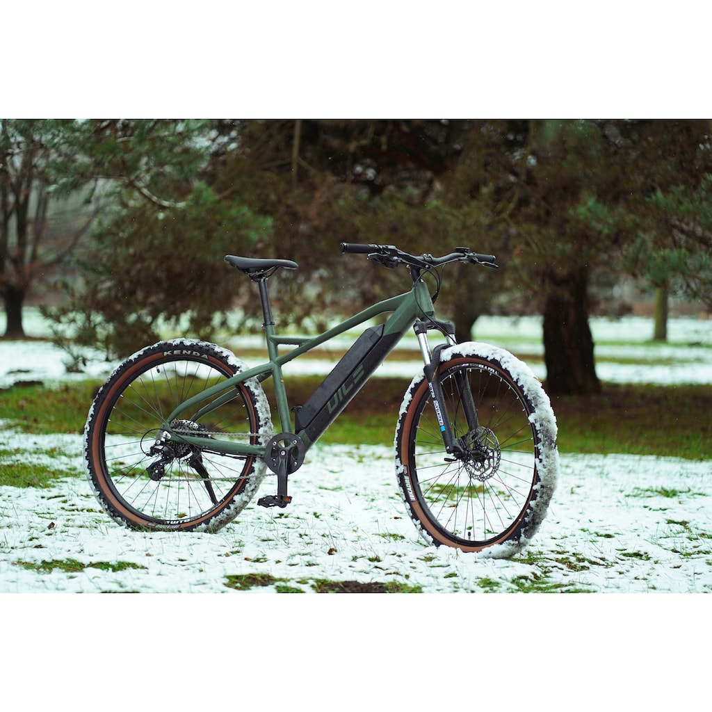 Prophete E-Bike »DICE 1.0«, 8 Gang, Shimano, Altus, Heckmotor 250 W