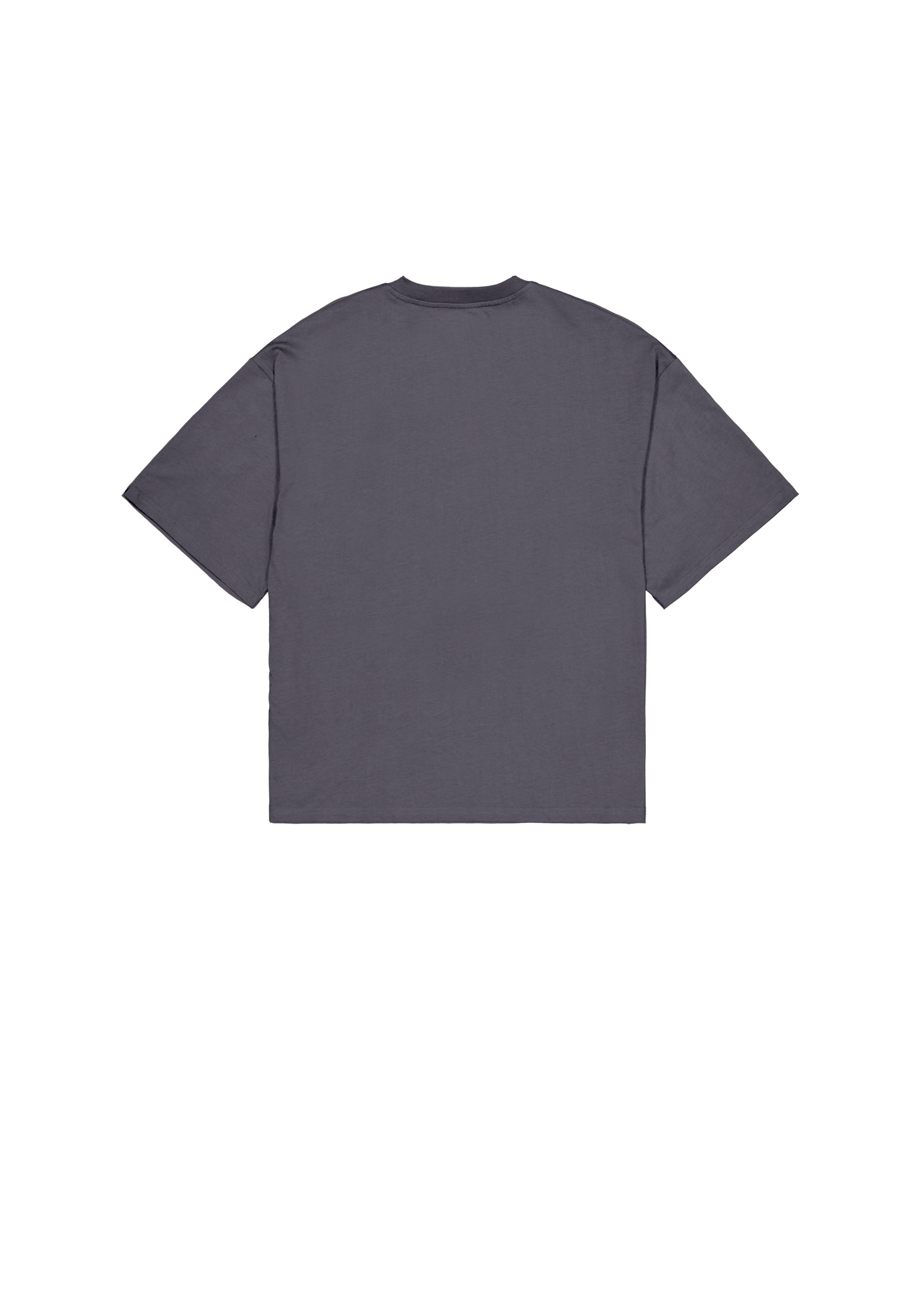 Alpha Industries T-Shirt "Studio Edition Vibe T-Shirt" günstig online kaufen