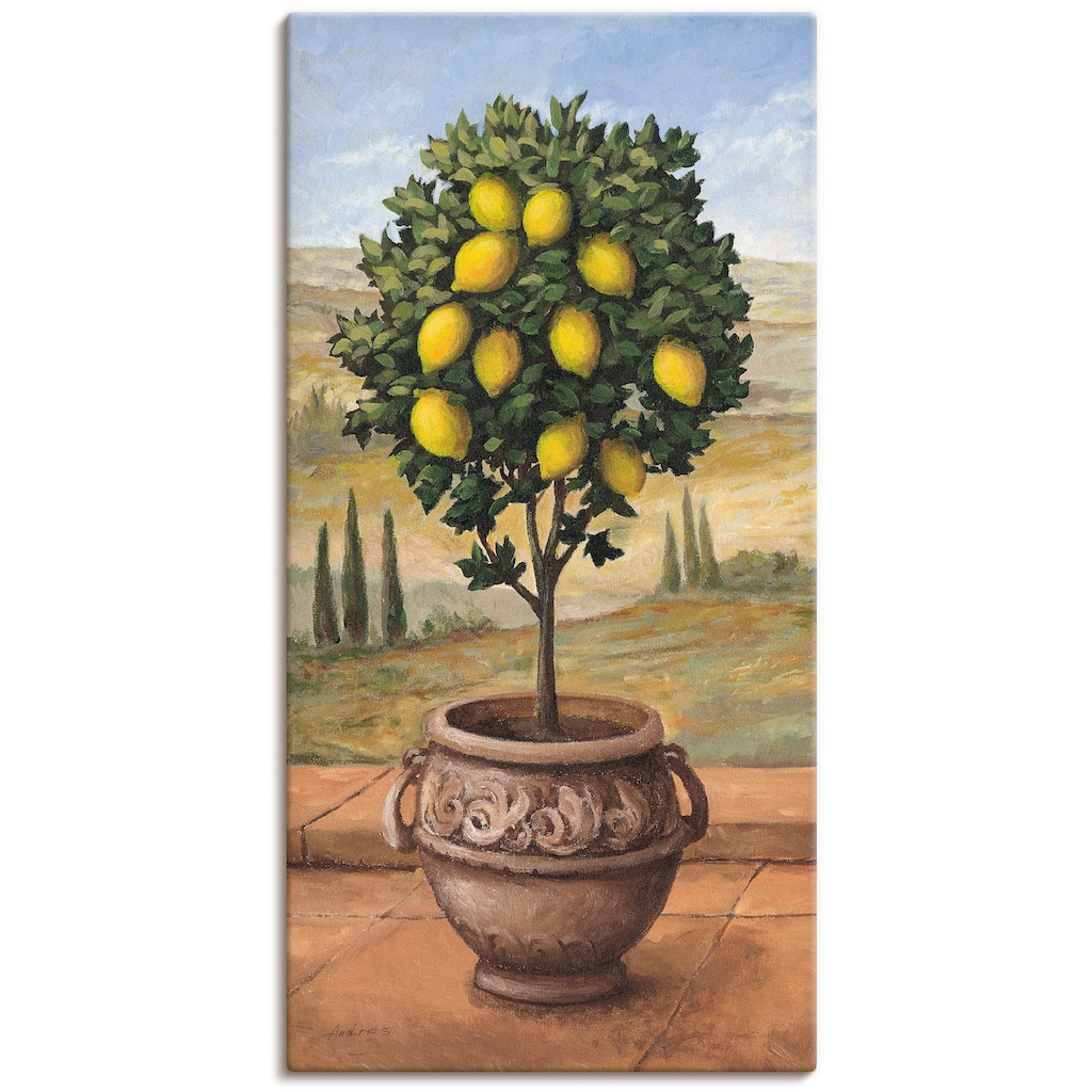 Artland Wandbild »Zitronenbaum«, Bäume, (1 St.)
