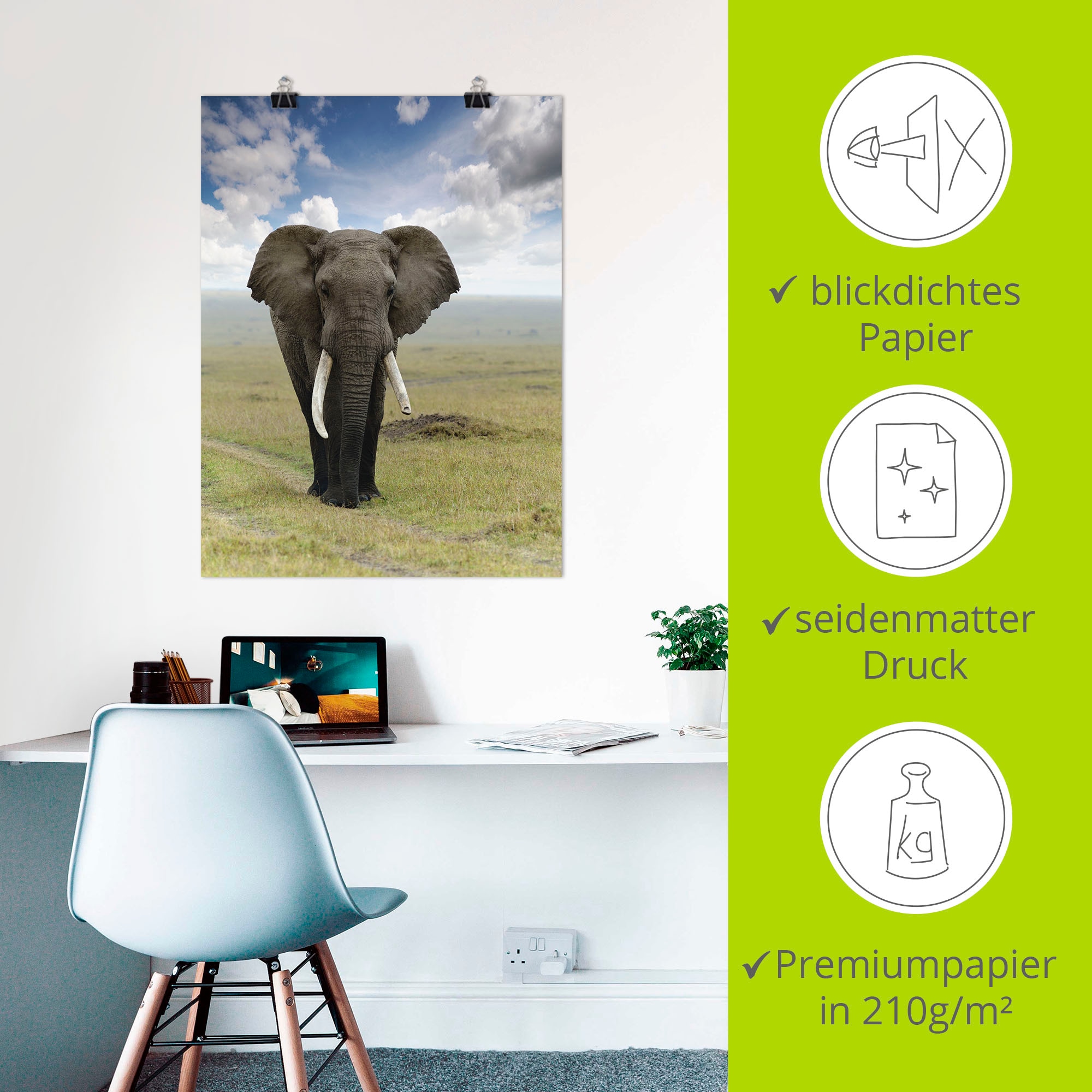 Artland Wandbild »Elefant«, Wildtiere, (1 St.), als Alubild, Outdoorbild, Leinwandbild, Poster in verschied. Größen
