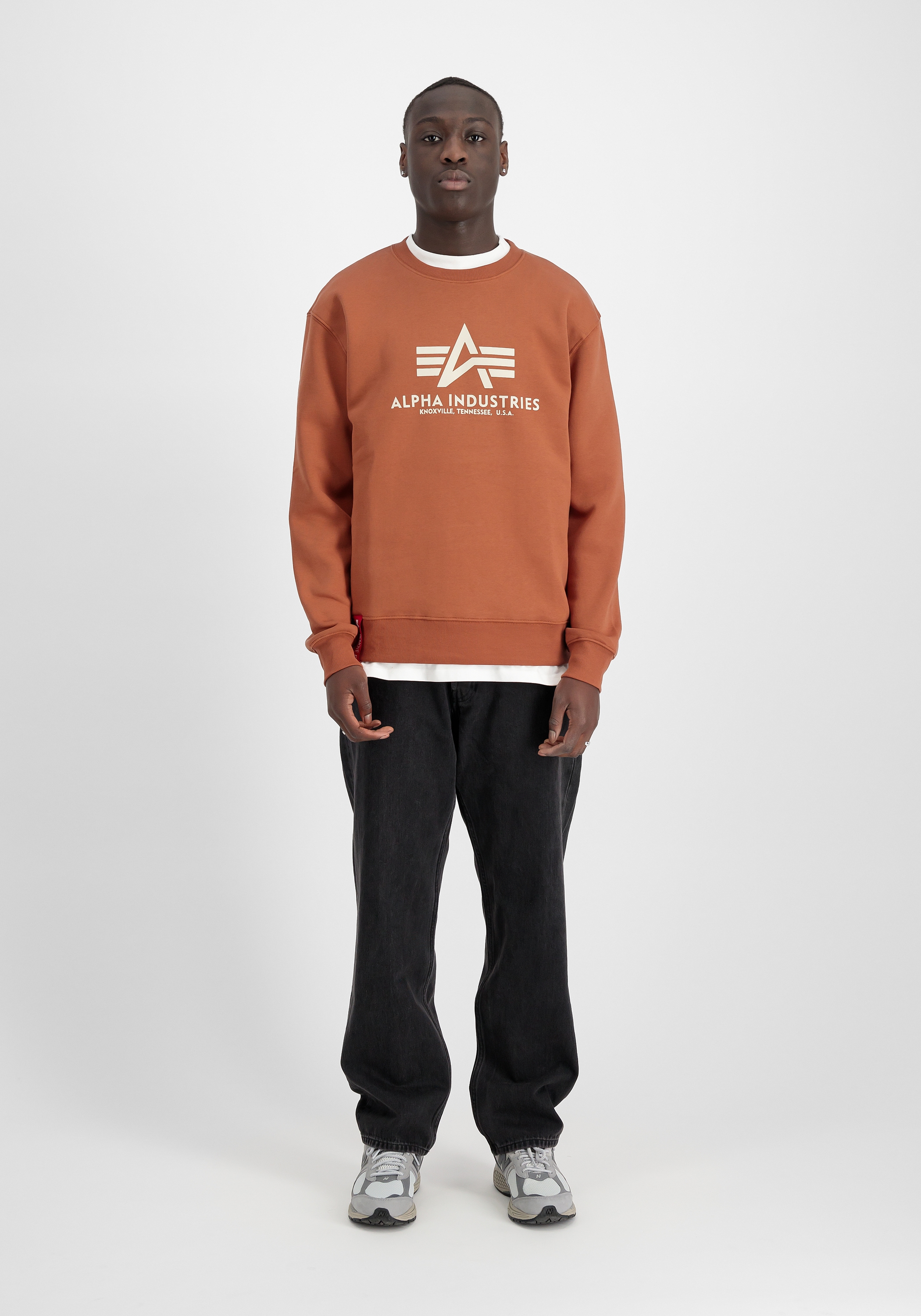 Alpha Industries Sweater »Alpha Industries Men - Sweatshirts Basic Sweater«