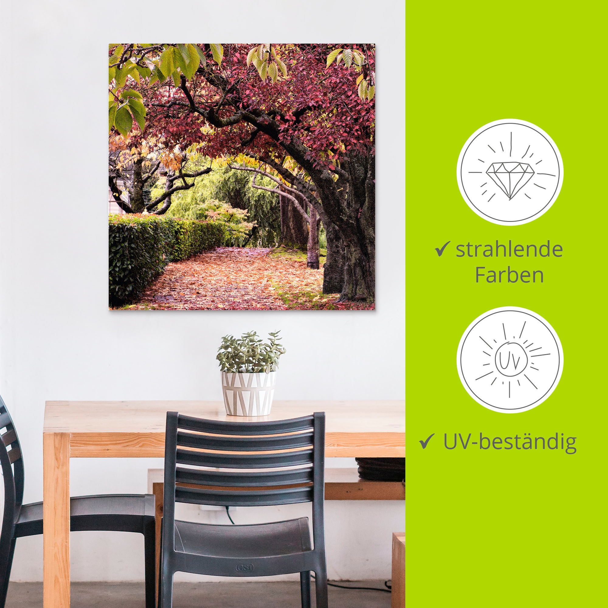 Artland Wandbild »Baumbogen«, Bäume, (1 St.), als Alubild, Outdoorbild, Leinwandbild, Poster in verschied. Größen