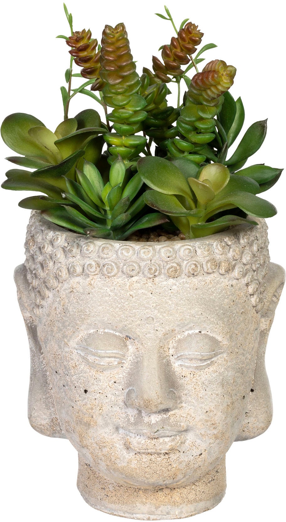 Creativ green Künstliche Zimmerpflanze »Sukkulentenarrangement«, im Gefäß aus Zement