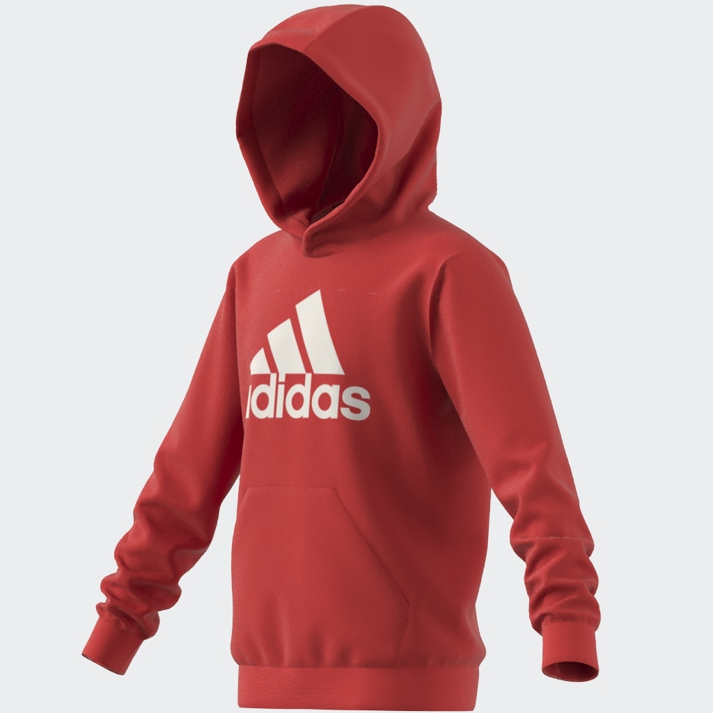 adidas Sportswear Kapuzensweatshirt »BIG LOGO ESSENTIALS COTTON HOODIE«