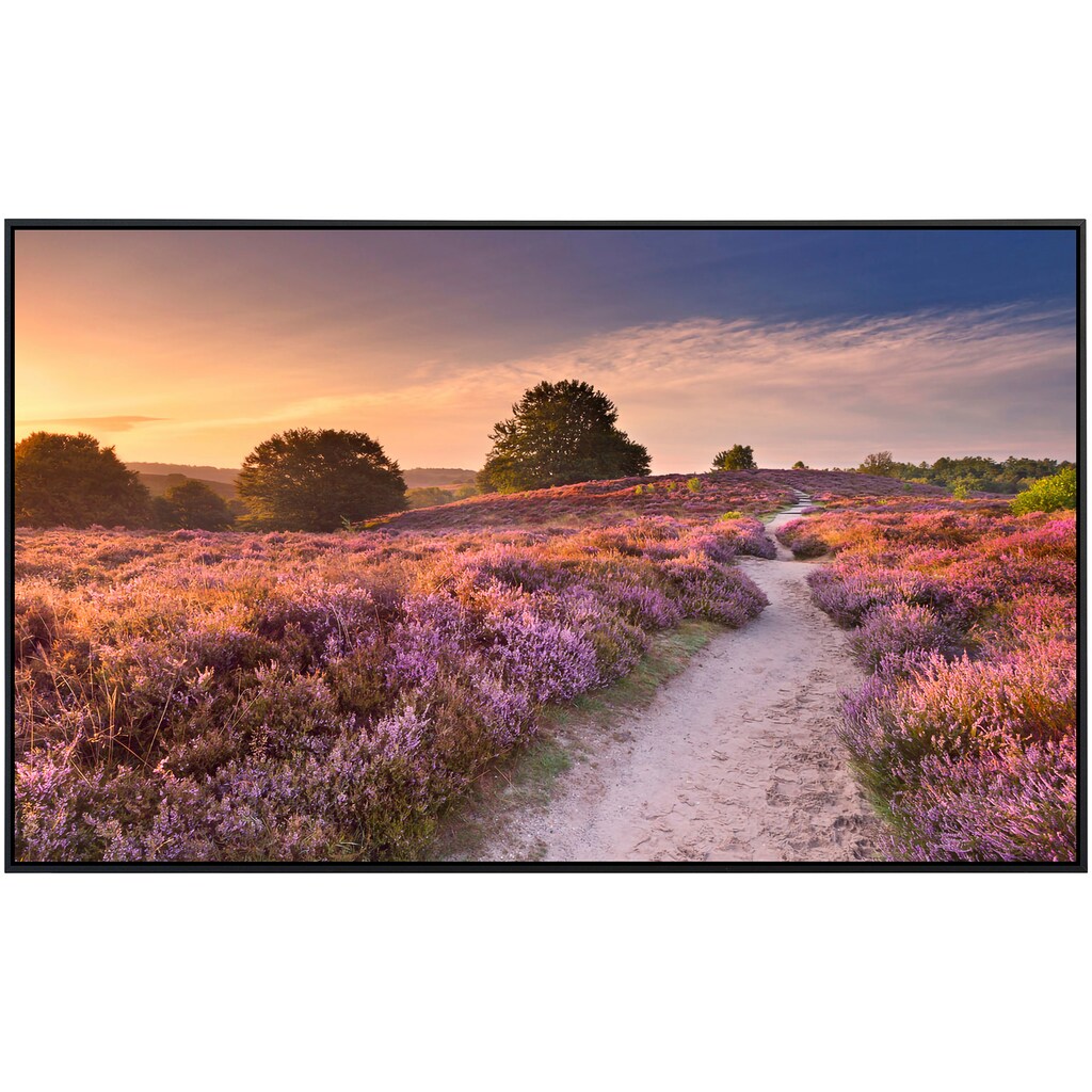 Papermoon Infrarotheizung »Blühende Heide bei Sonnenaufgang«