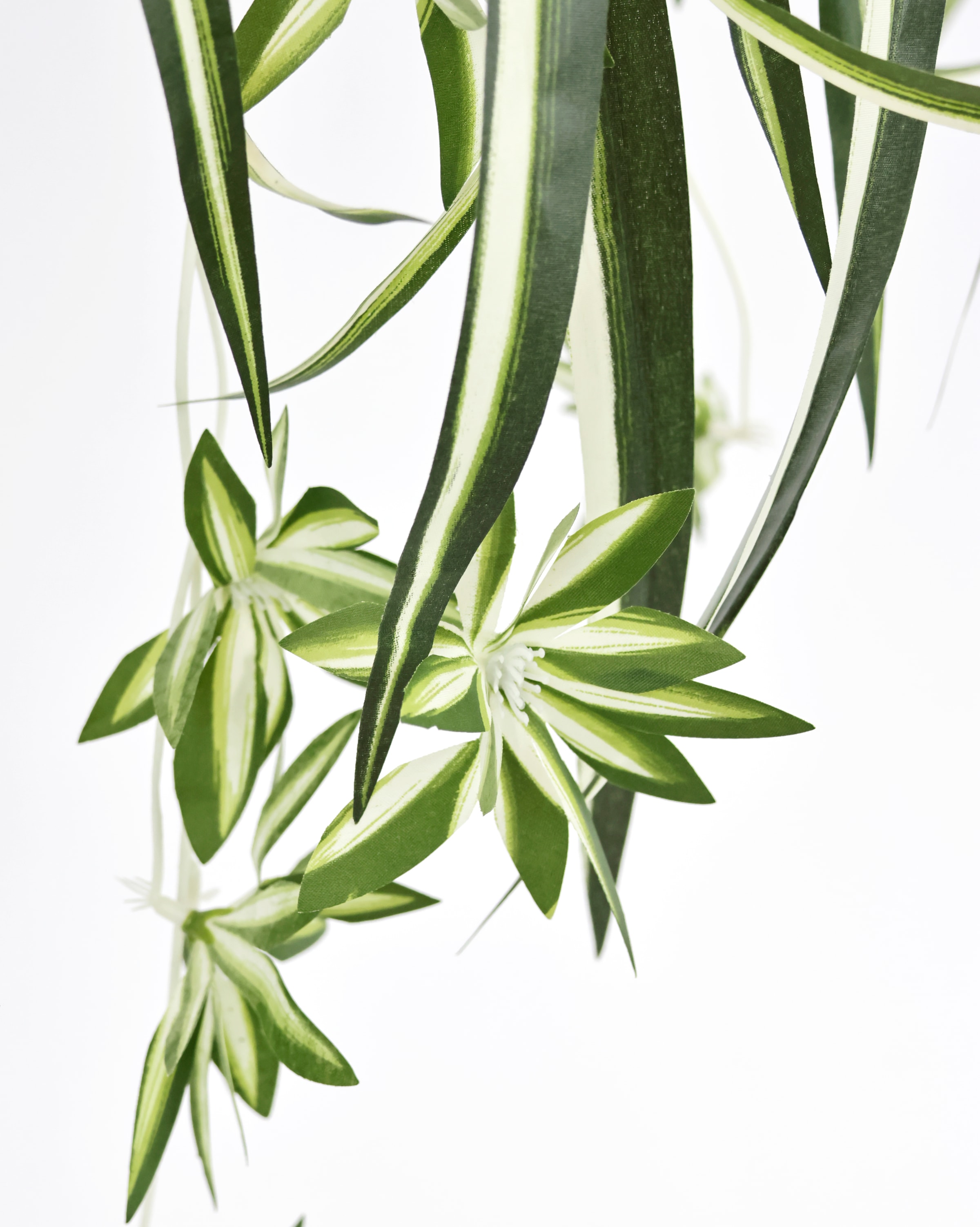 I.GE.A. Kunstpflanze »Wasserlilie hängend« Mit Hängeampel Grünlilie Grünpflanze Chlorophytum Kunstblume Dekoblume