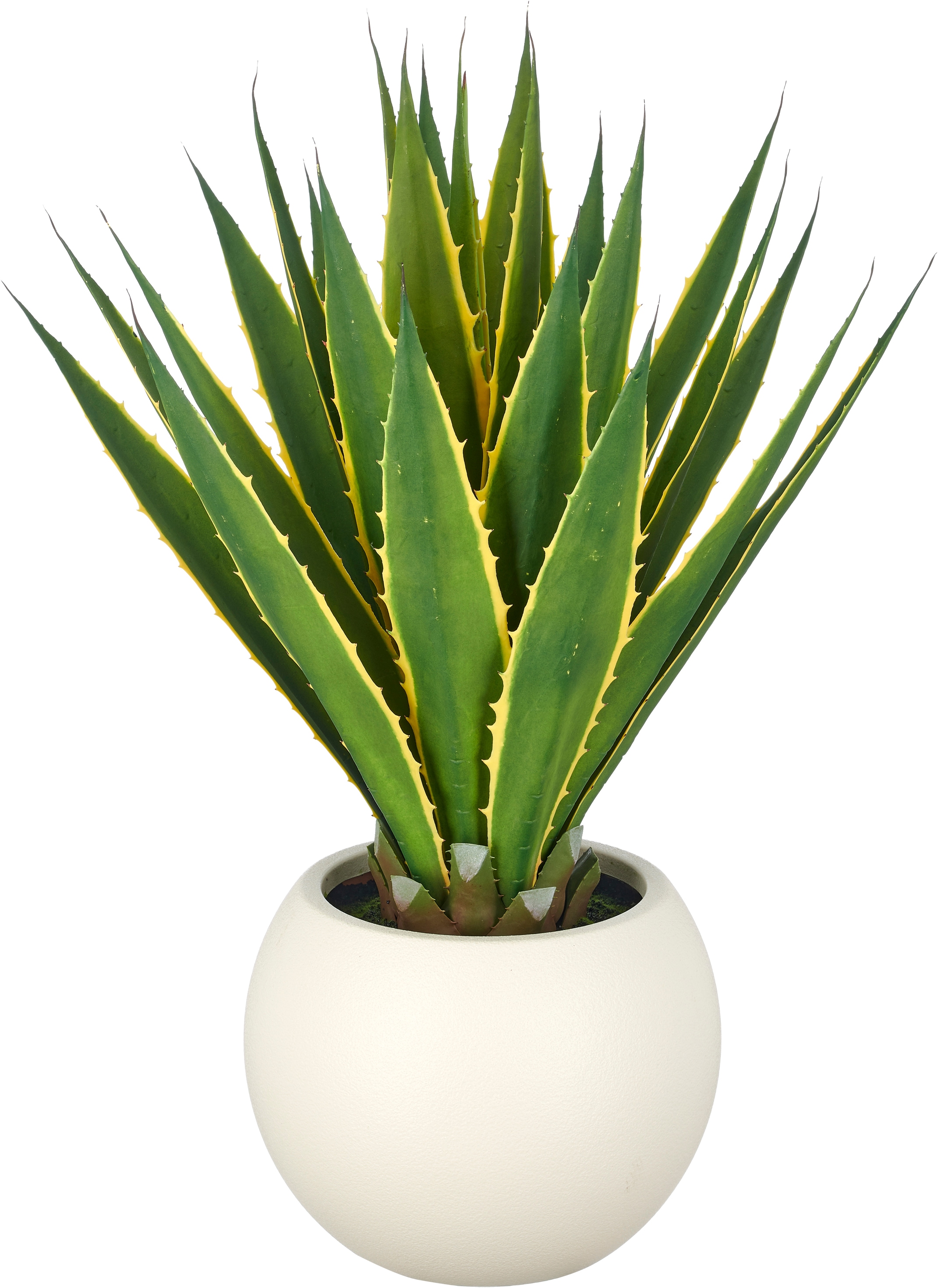 Creativ green Kunstpflanze "Agave americana Marginata" mit naturgetreuem Blattwerk