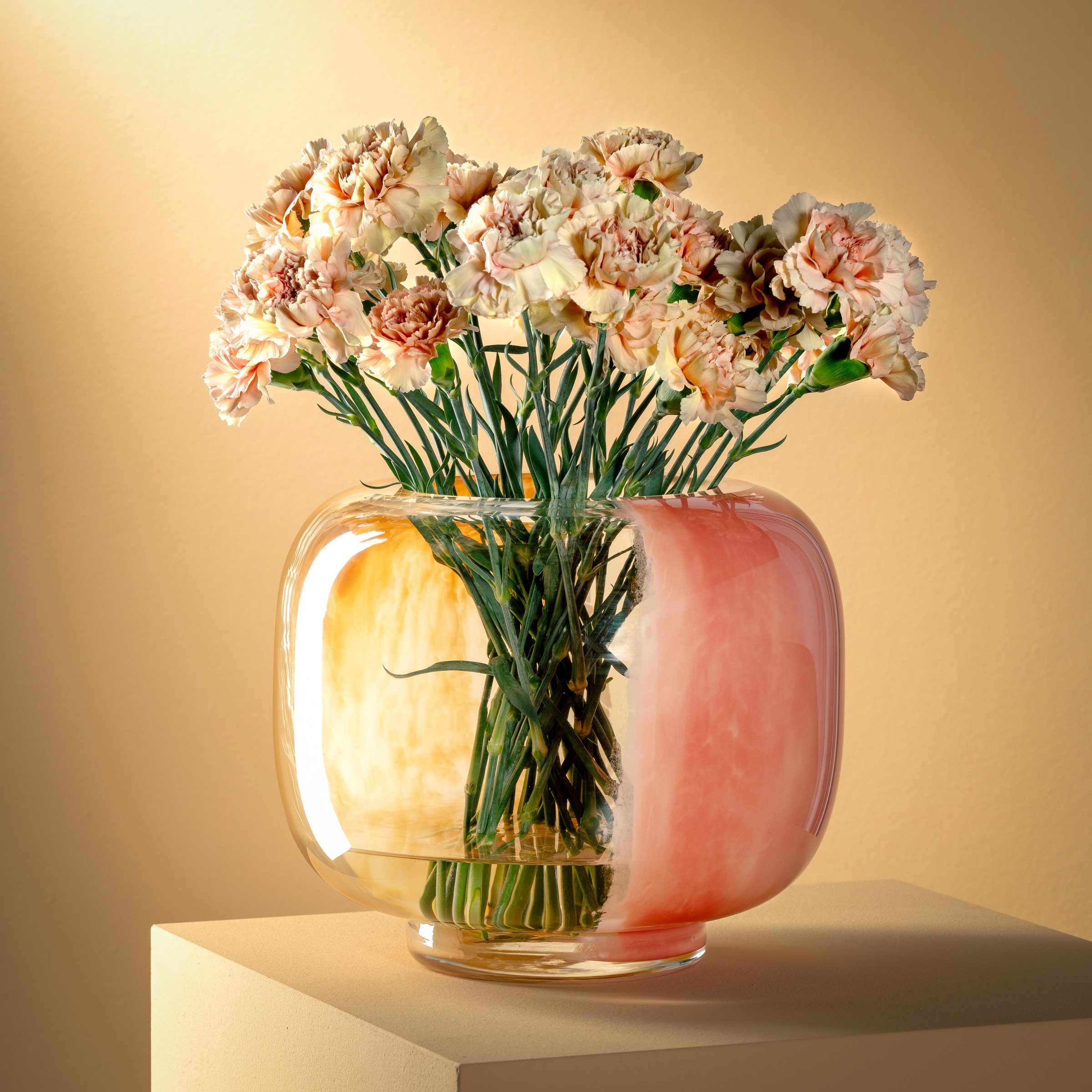 LEONARDO Dekovase "Vase CIPRIA DUE" günstig online kaufen