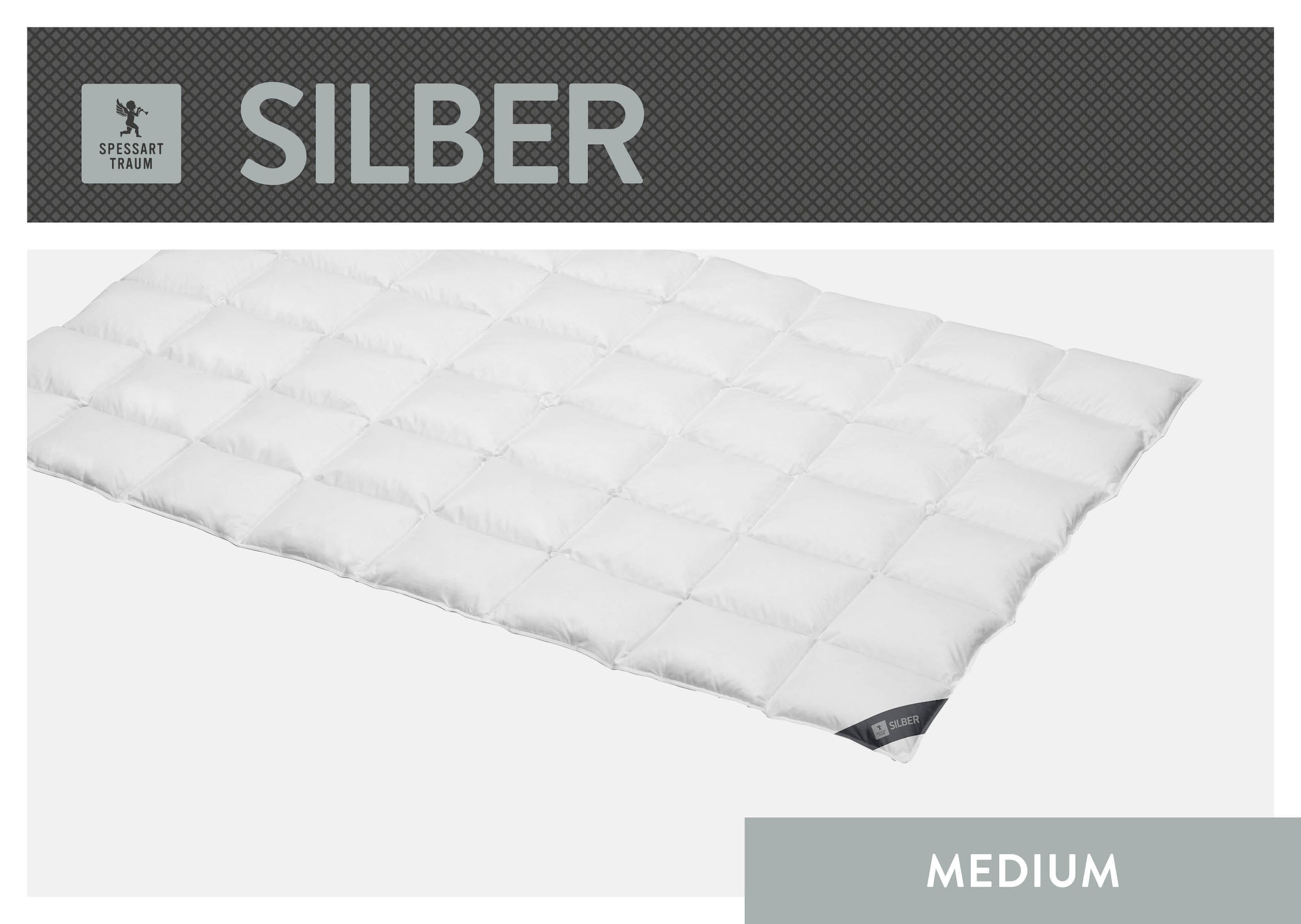 SPESSARTTRAUM Daunenbettdecke "Silber" leicht Füllung 100% Daunen 1 Stk. tlg. hergestellt in Deutschland, allergikerfreundlich
