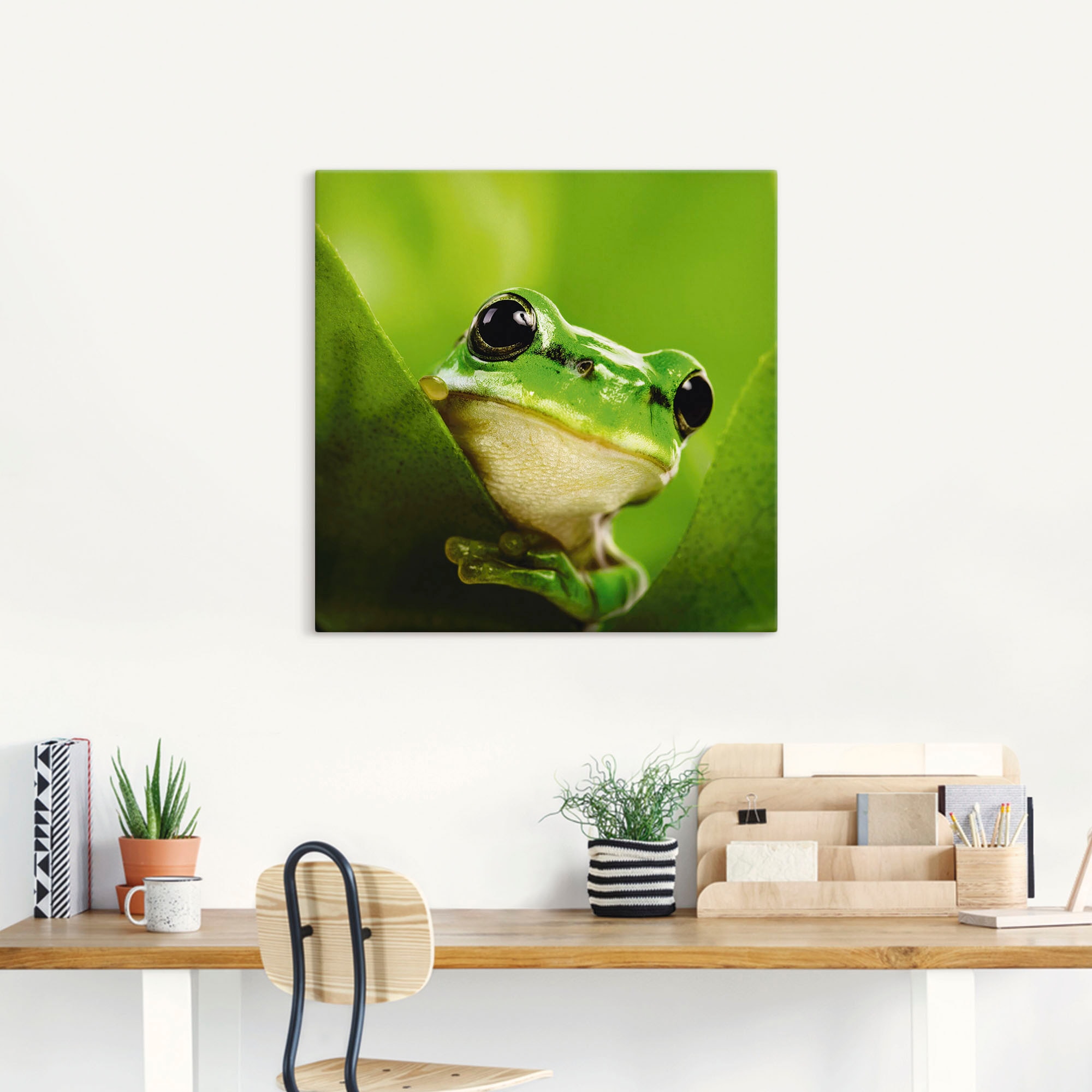 Artland Wandbild »Ausspähender Frosch«, Wassertiere, (1 St.), als Leinwandbild, Poster in verschied. Größen