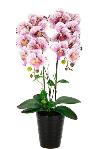 Kunstblume »Orchidee«