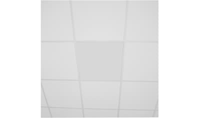 Infrarotheizung »InfraRaster 62E«, Stahl, 350 W, 62,5x62,5 cm