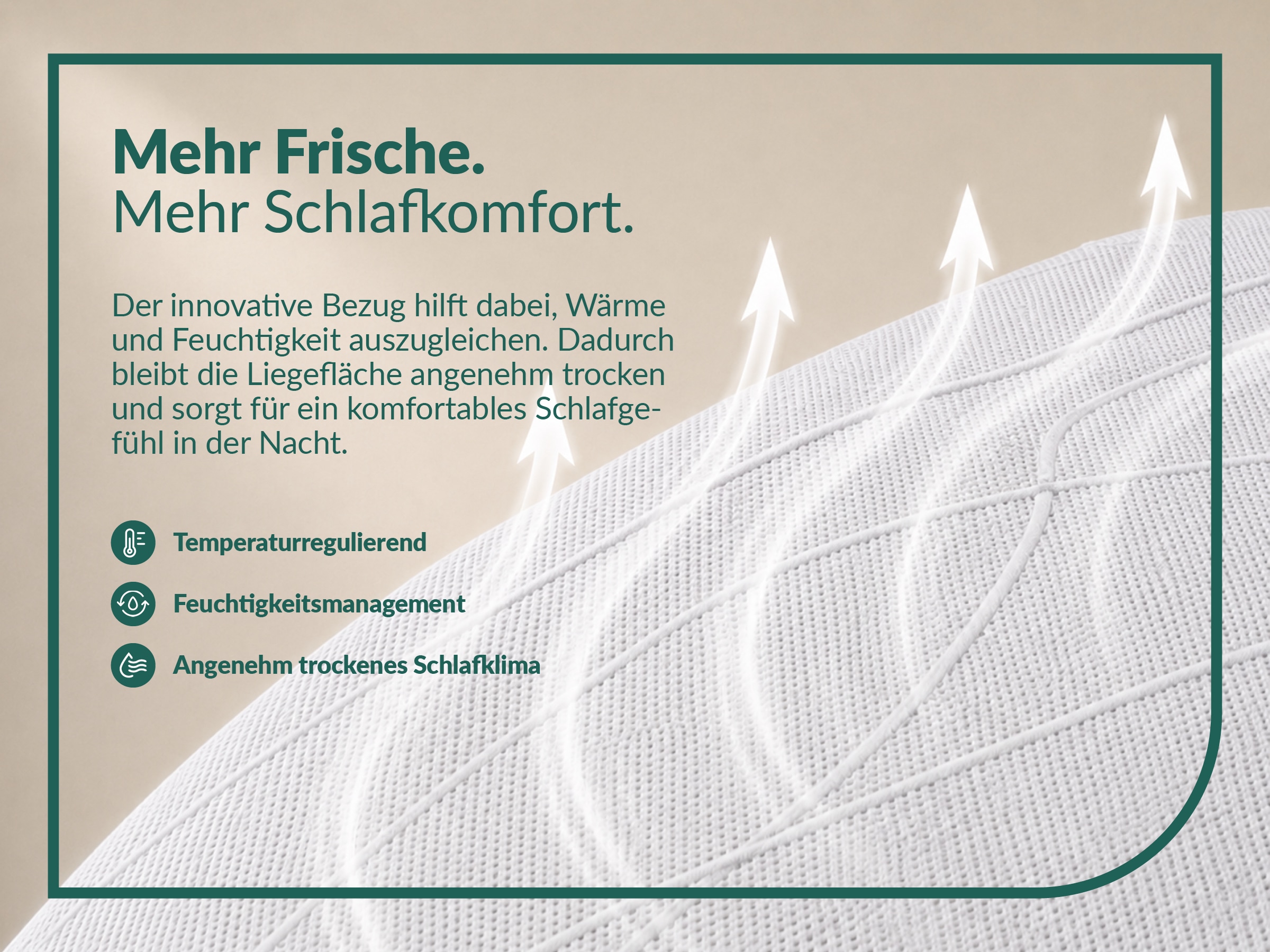fan Taschenfederkernmatratze »fan Flexible Duo T, Matratze 90x200 cm, 140x200 cm & mehr, in H2/H3« 22 cm hoch 1.034 Federn 1 Stk. tlg. Wendematratze mit Pure Fresh-Bezug, 1034 Federn (bei 100x 200 cm)