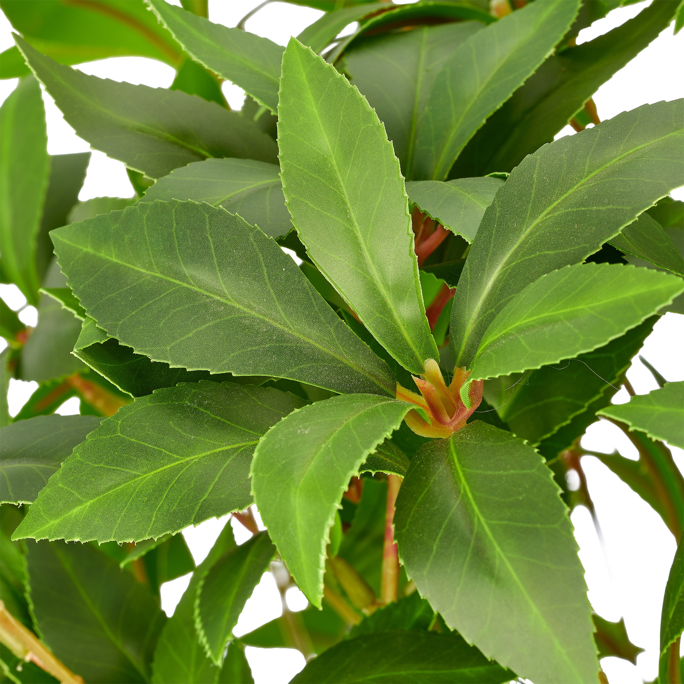 Creativ green Kunstbaum »Pieris« als Hochstamm