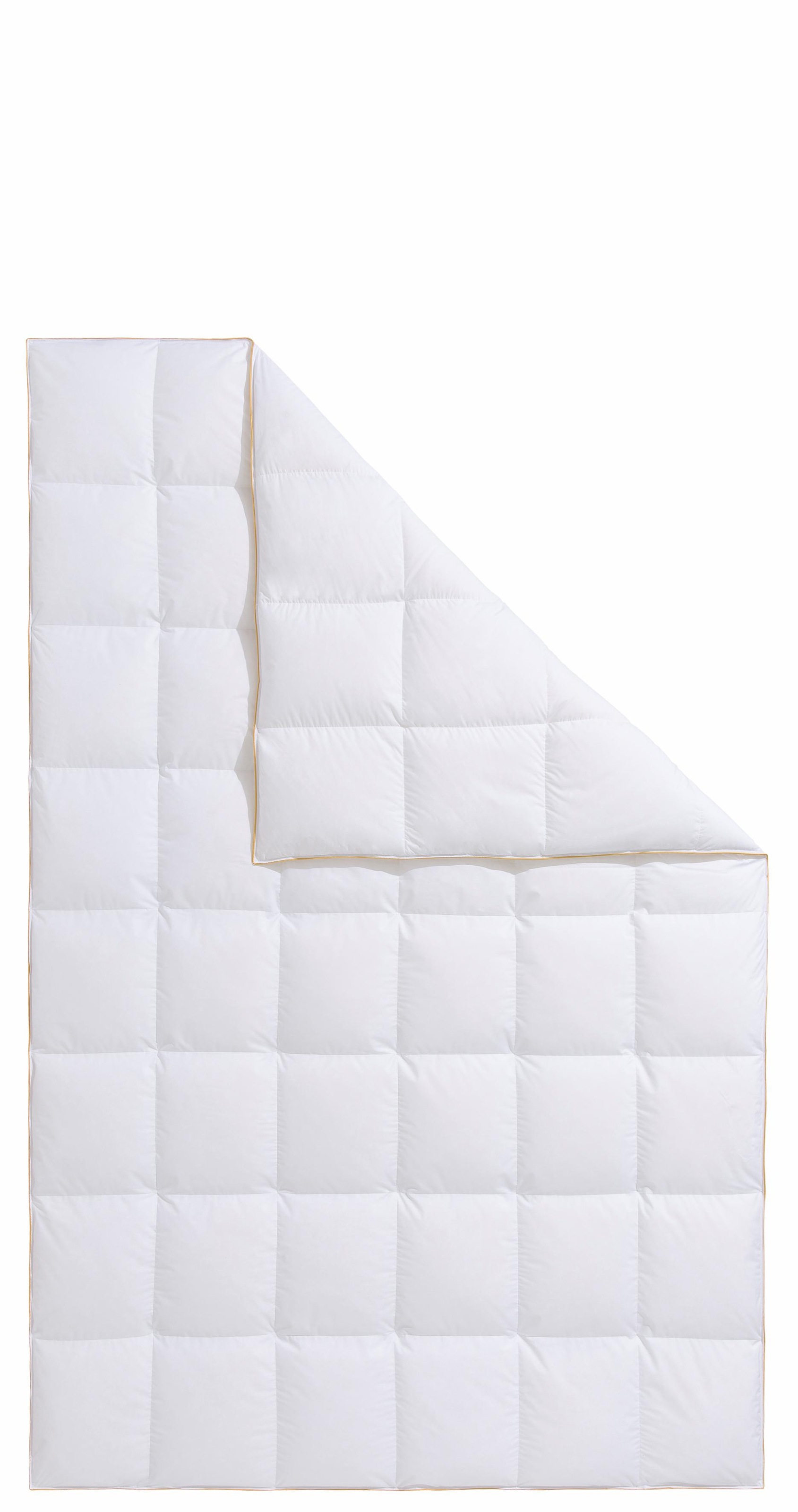 Frau Holle Gänsedaunenbettdecke "Dana, Bettdecken für Sommer oder Winter, h günstig online kaufen