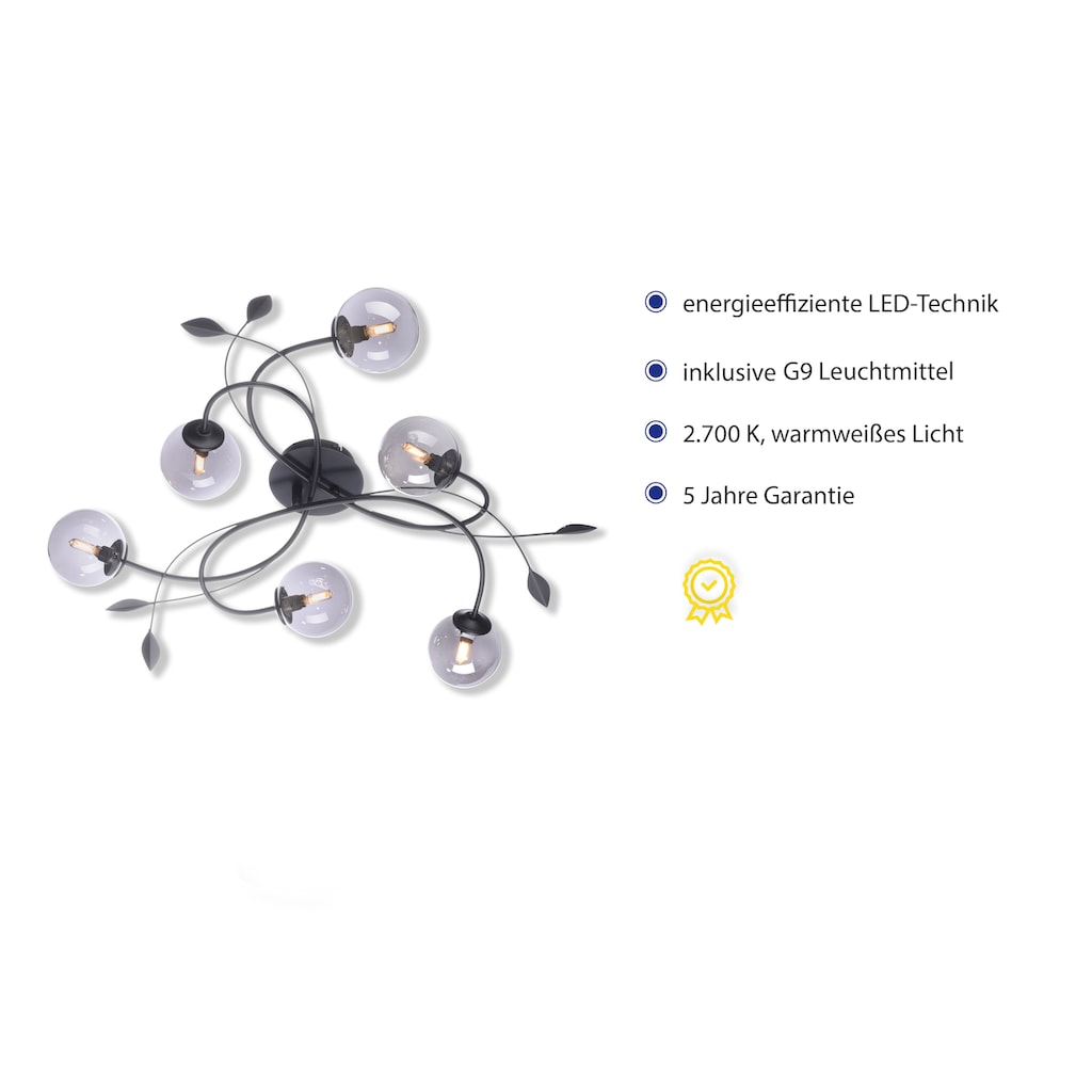 Paul Neuhaus LED Deckenleuchte »WIDOW«, 6 flammig-flammig