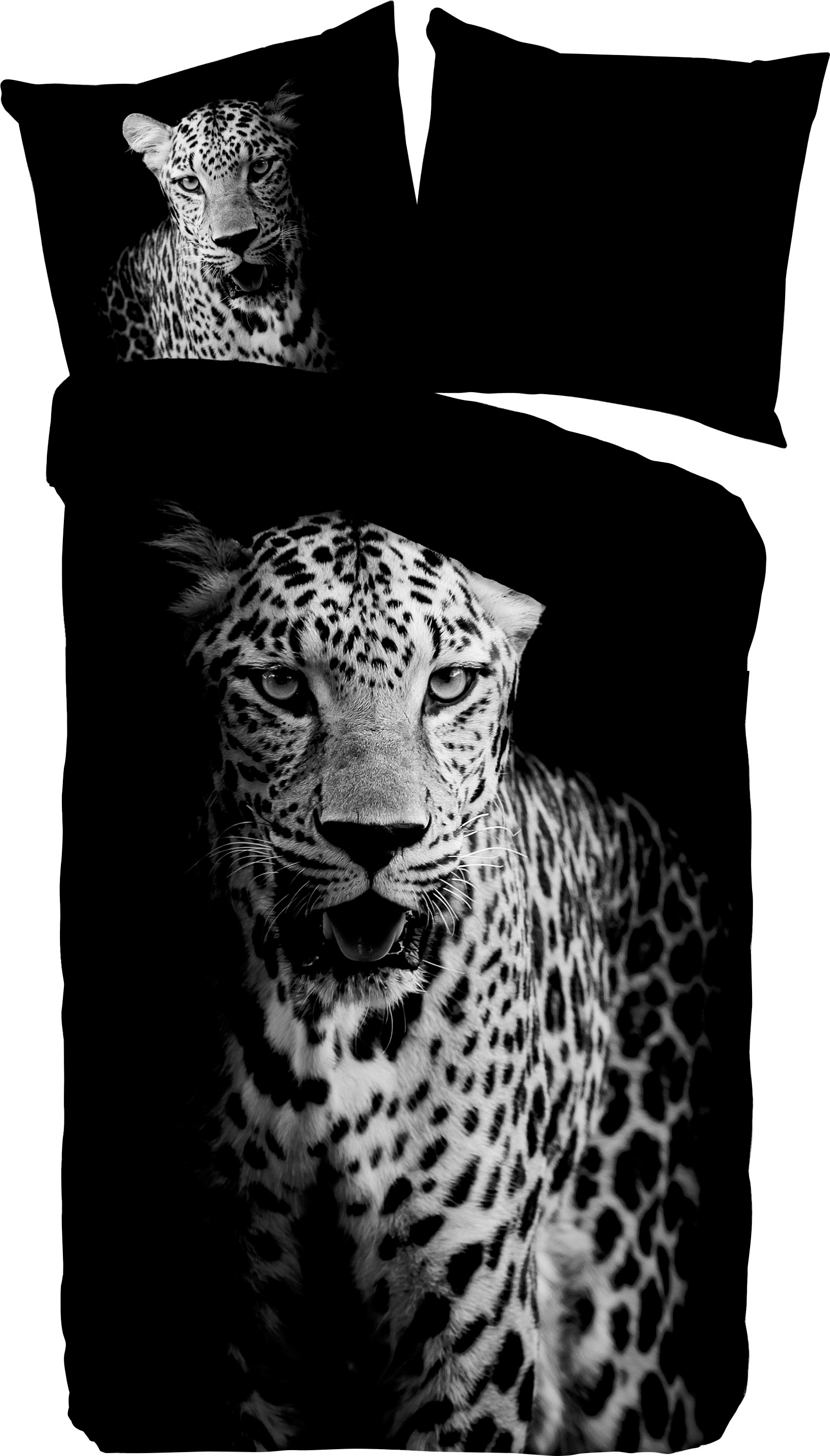 Leoparden Decken günstig | kaufen BAUR