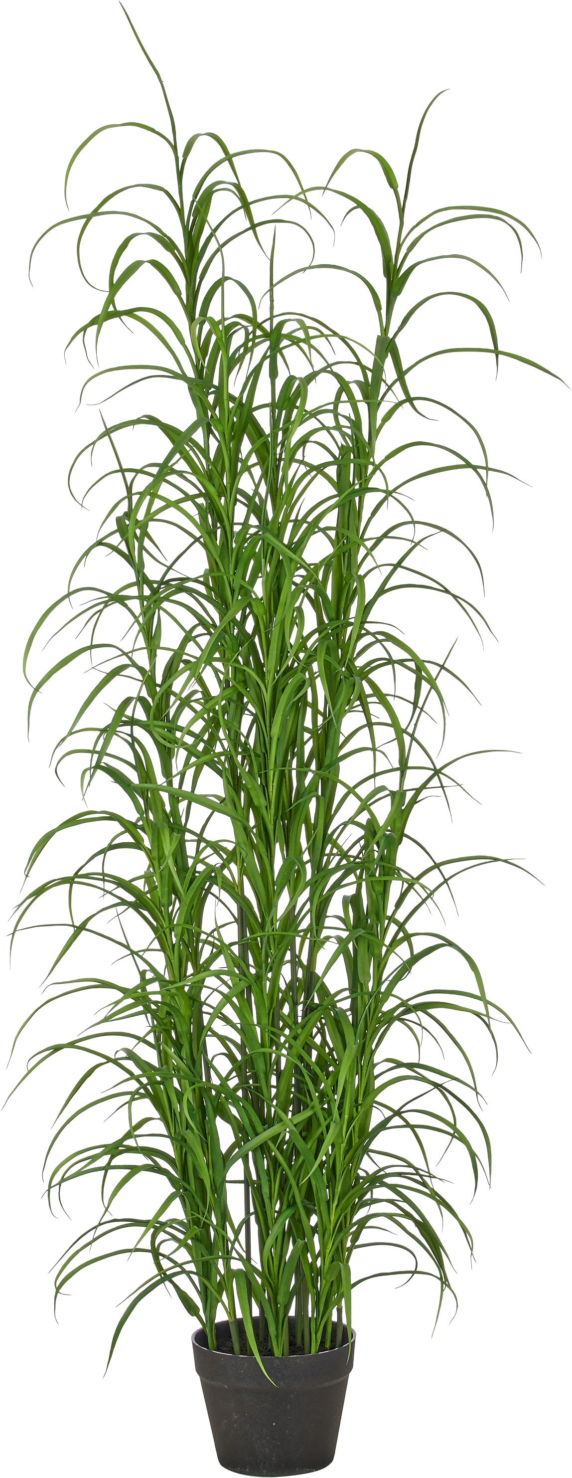 Creativ green Kunstgras "Grasbusch Carex morrowii" mit naturgetreuen Halmen