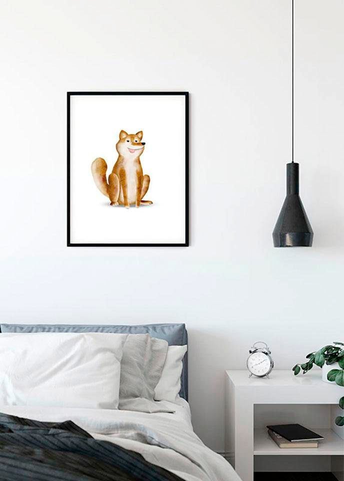 Komar Bild »Cute Animal Dog«, Tiere, (1 St.), Wandbild zur Dekoration - ohne Rahmen