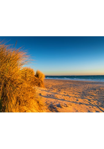 Fototapete »Dunes Chelsea Beach Australia«