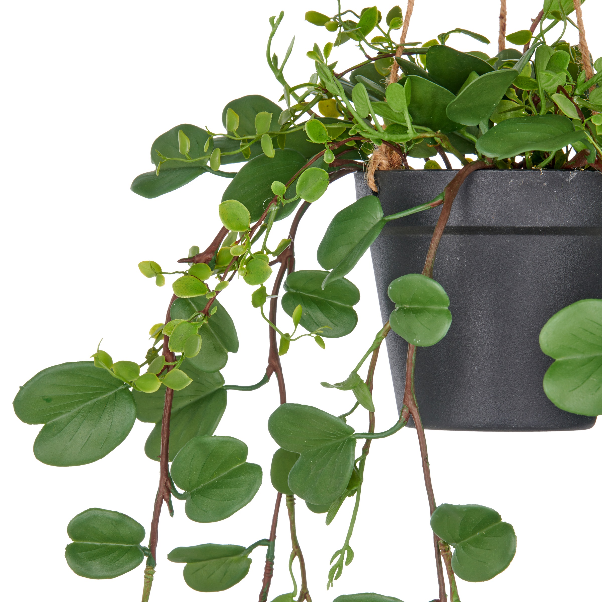 Creativ green Kunstpflanze "Bauhinia", mit detailgetreuen Blattranken günstig online kaufen