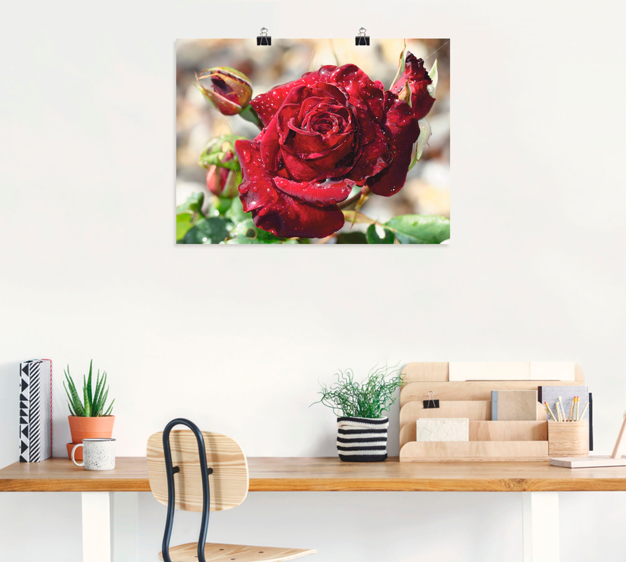 Artland Wandbild "Tröpfchenrose", Blumen, (1 St.), als Leinwandbild, Poster günstig online kaufen