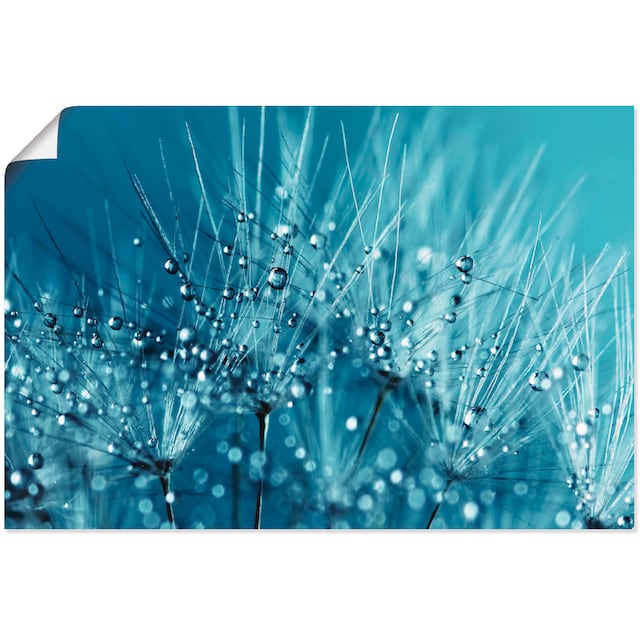 Artland Wandbild »Blaue glitzernde Pusteblume«, Blumen, (1 St.), als  Leinwandbild, Wandaufkleber oder Poster in versch. Größen kaufen | BAUR