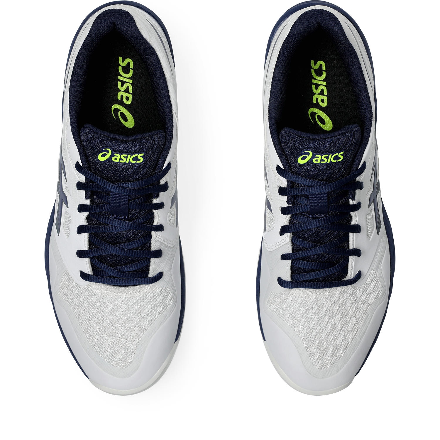 Asics Indoorschuh »GEL-COURT HUNTER 3«