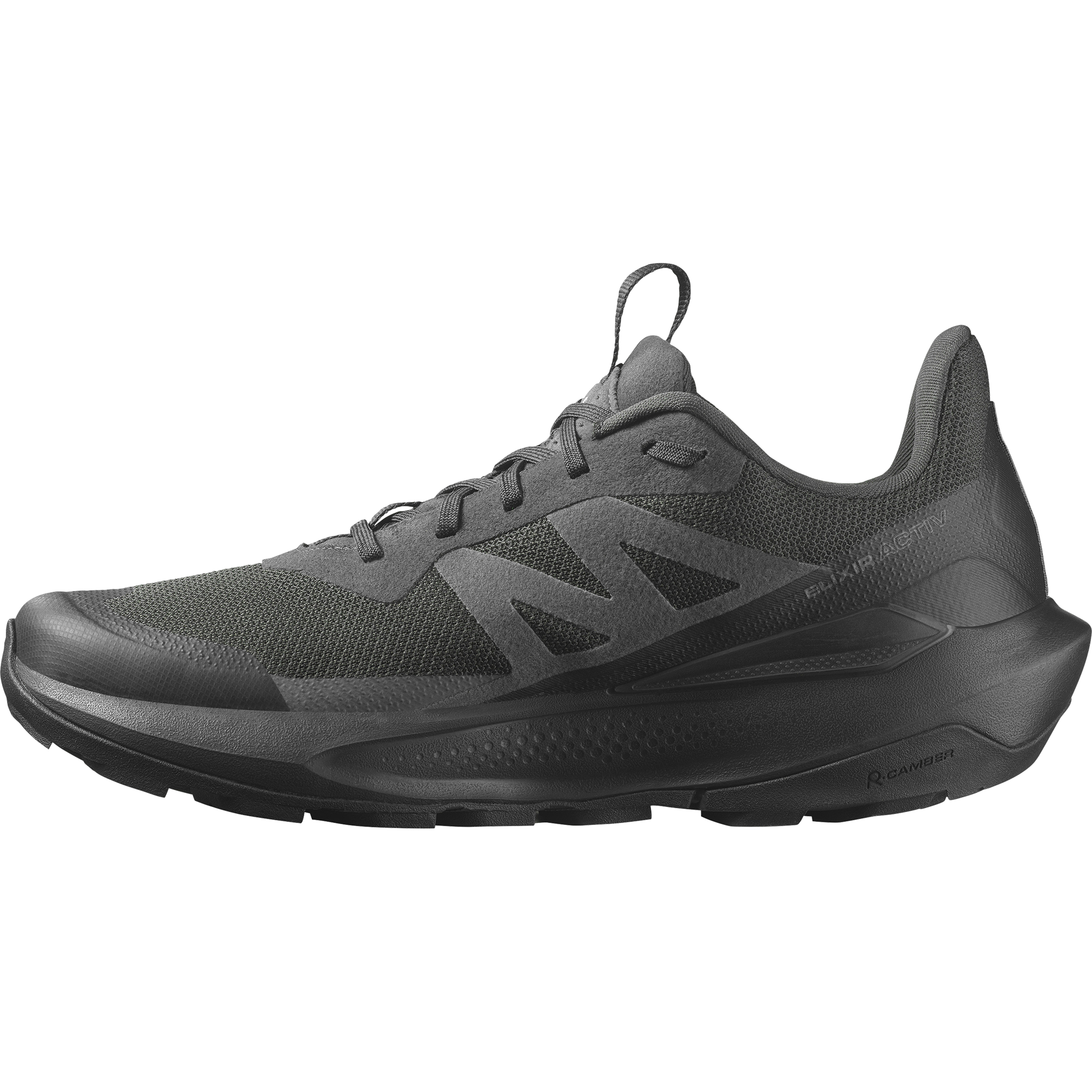 Salomon Outdoorschuh "ELIXIR ACTIV GORE-TEX", wasserdicht günstig online kaufen