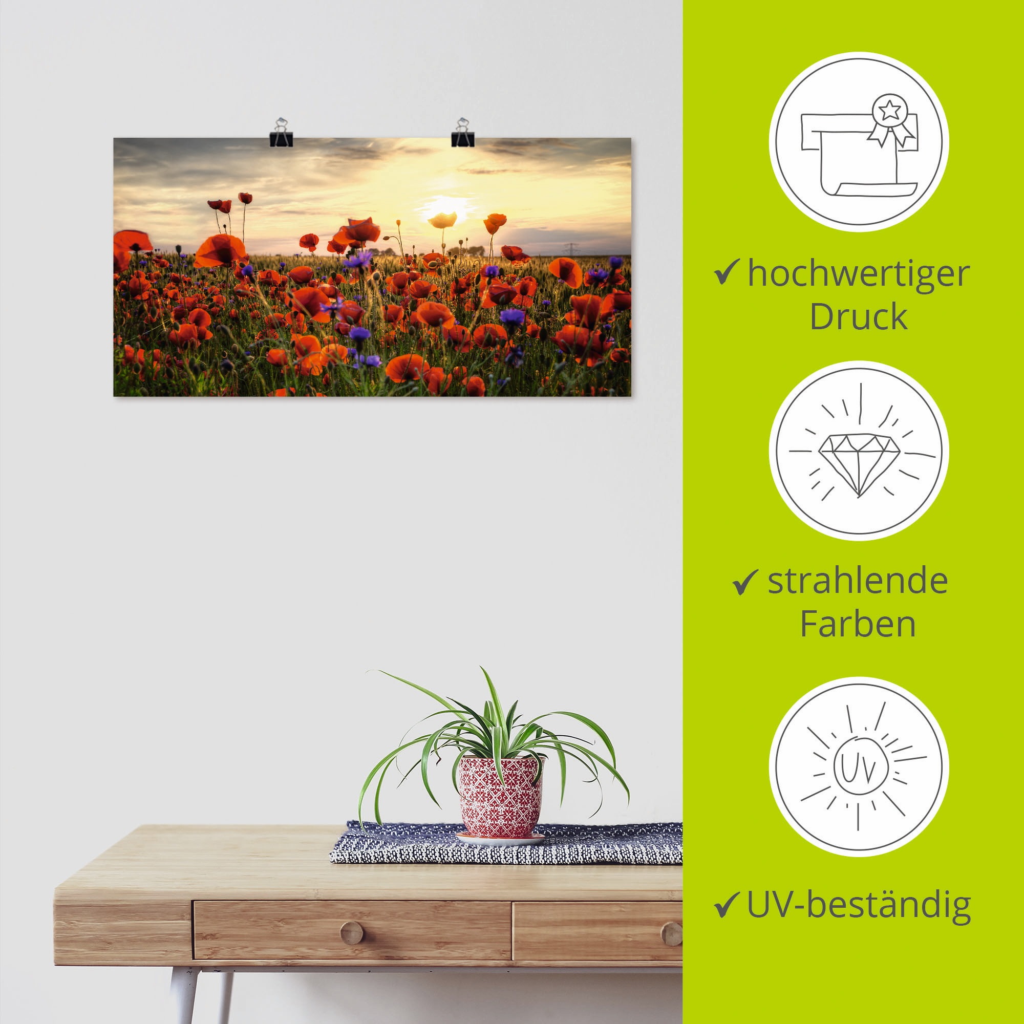 Artland Wandbild »Mohnblumen«, Blumen, (1 St.), als Alubild, Outdoorbild, Leinwandbild, Poster, Wandaufkleber
