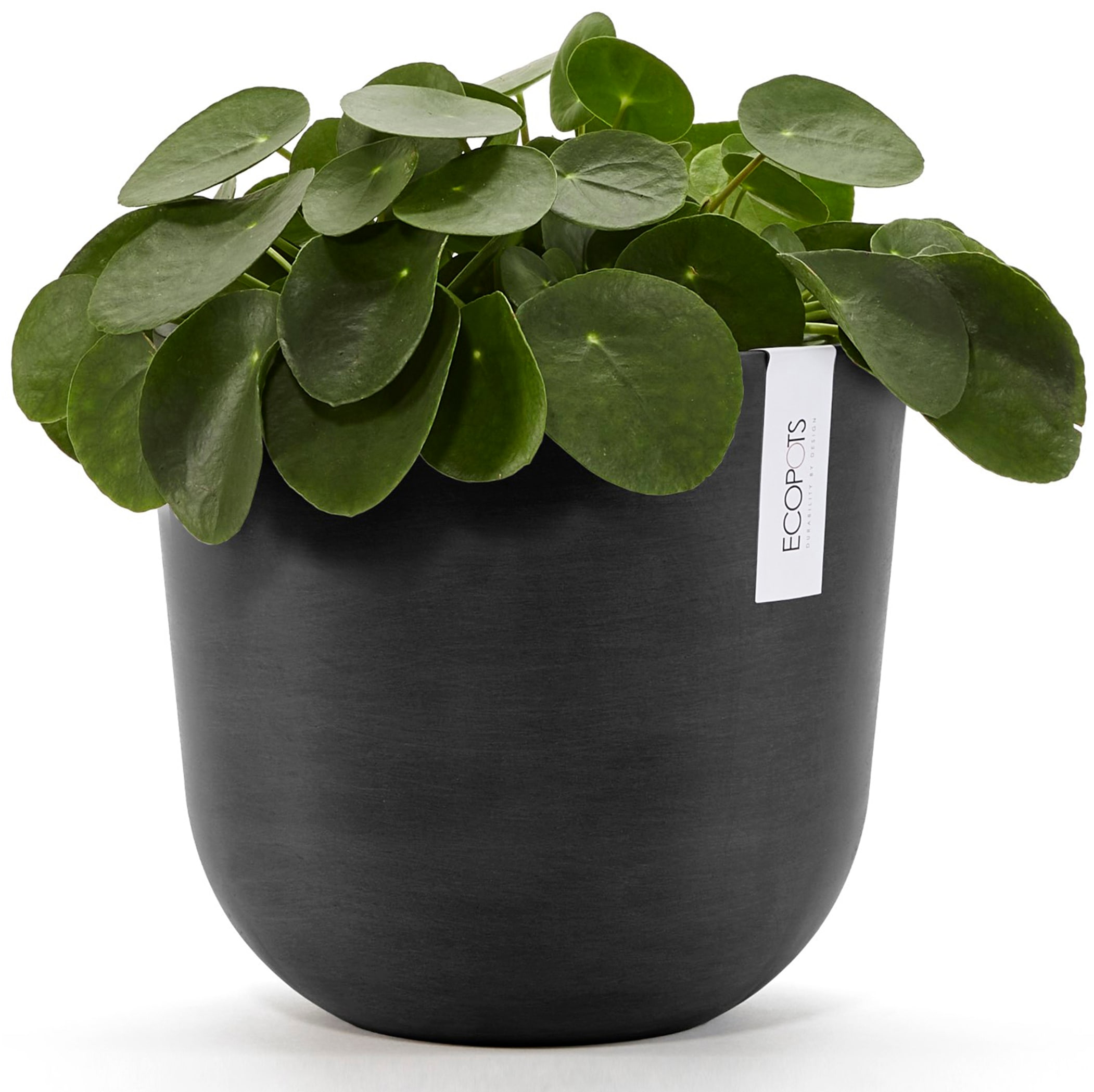 ECOPOTS Blumentopf »Oslo 25 Dunkelgrau«, für innen und außen: frostsicher, bruchsicher und lichtbeständig