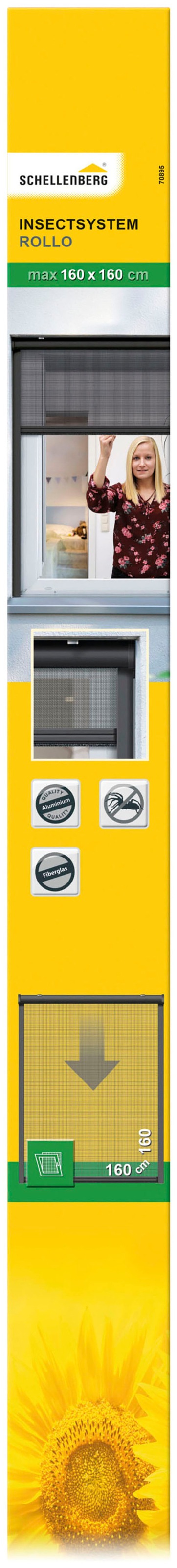 SCHELLENBERG Insektenschutzrollo »für Fenster«, Fliegengitter verschraubt, 160 x 160 cm, anthrazit, 70895