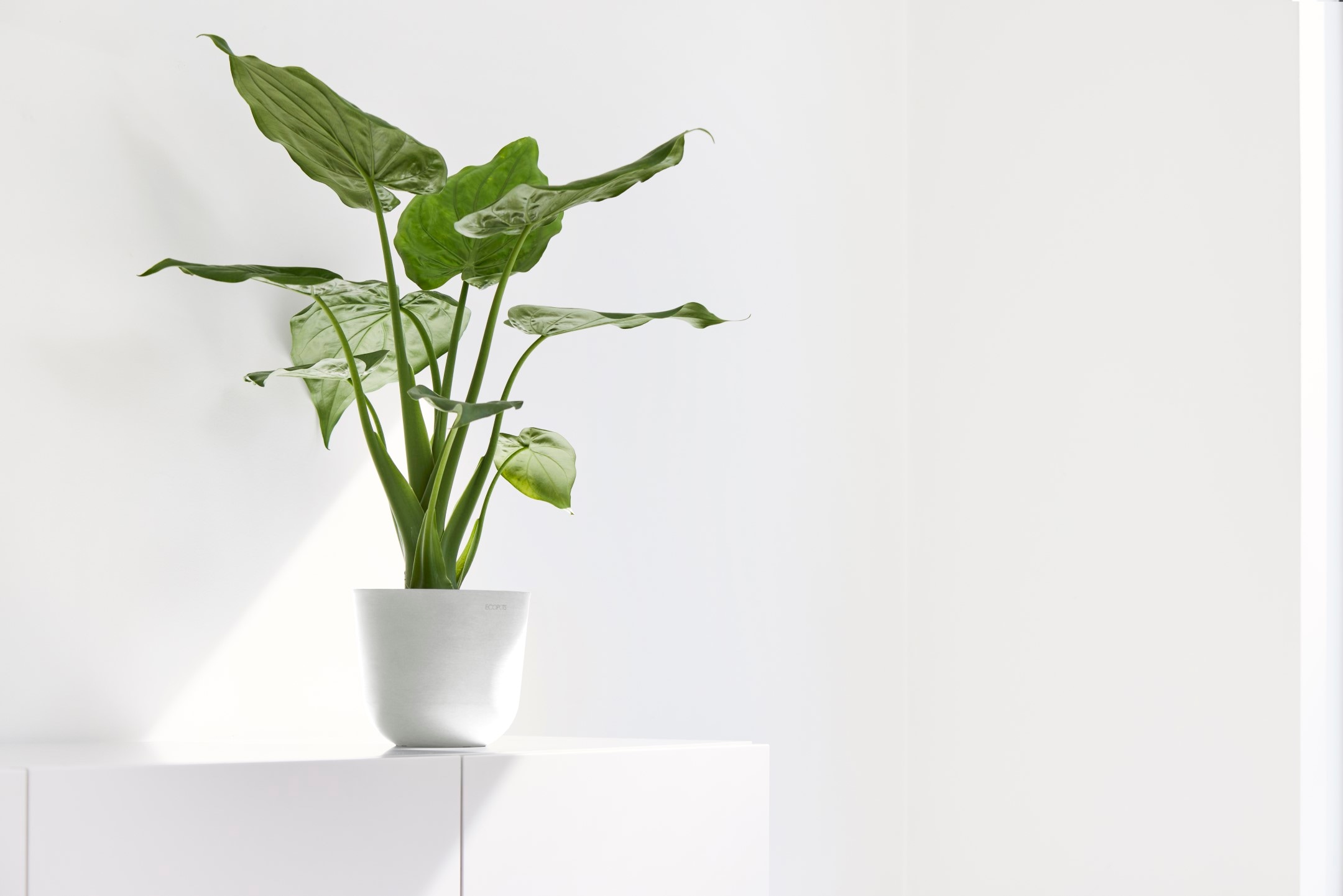 ECOPOTS Blumentopf »Oslo Mini 16 Weiß« für den Innenbereich