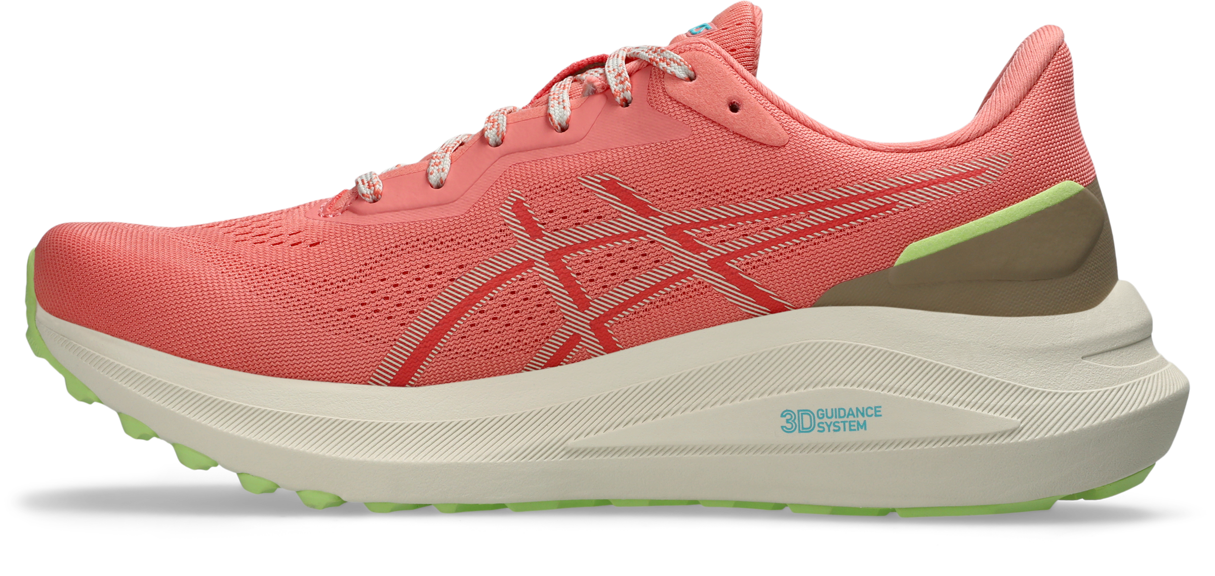 Asics Laufschuh »GT-1000 13 TR«