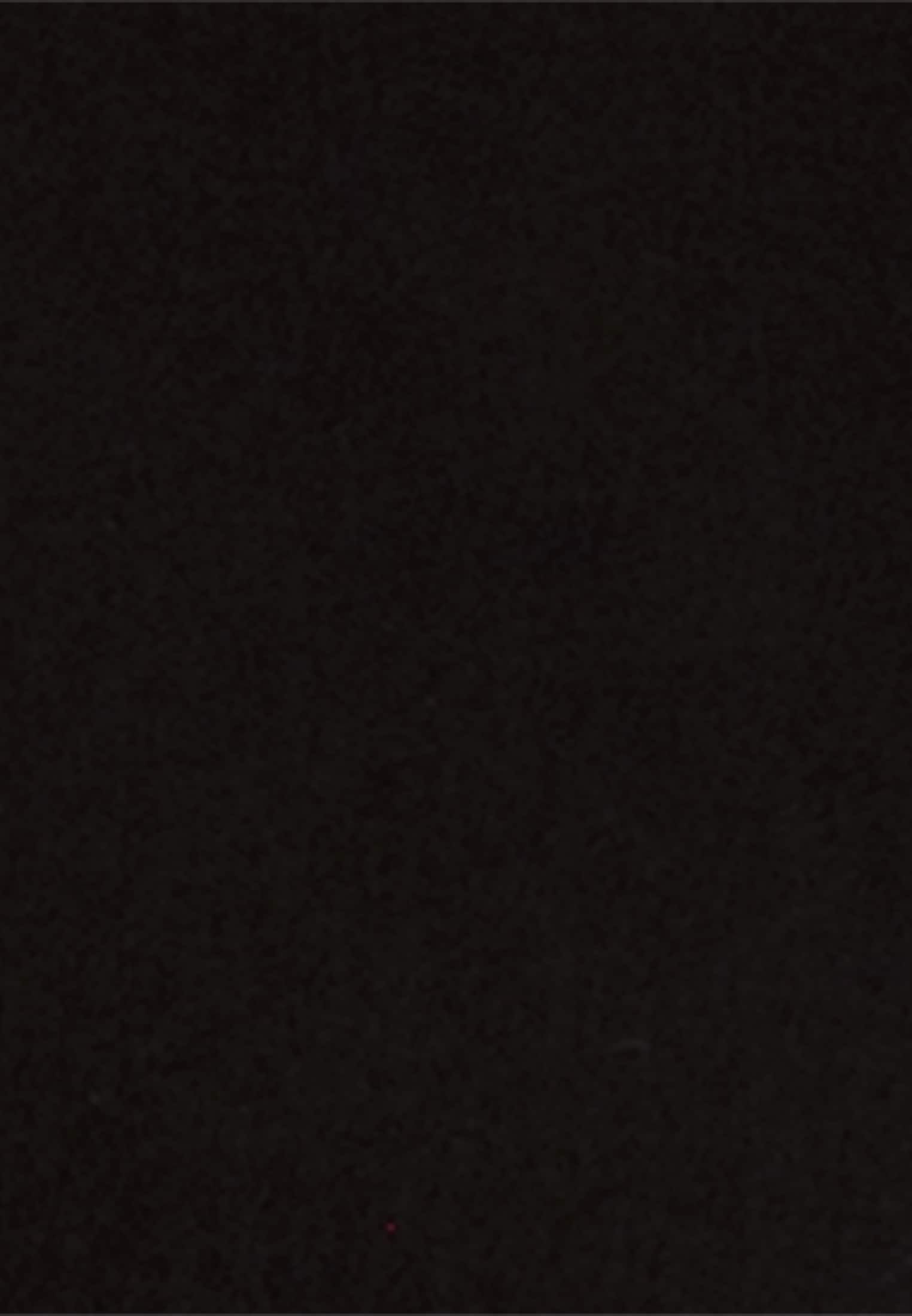 seidensticker Sommerkleid »Schwarze Rose«, Kragen Uni