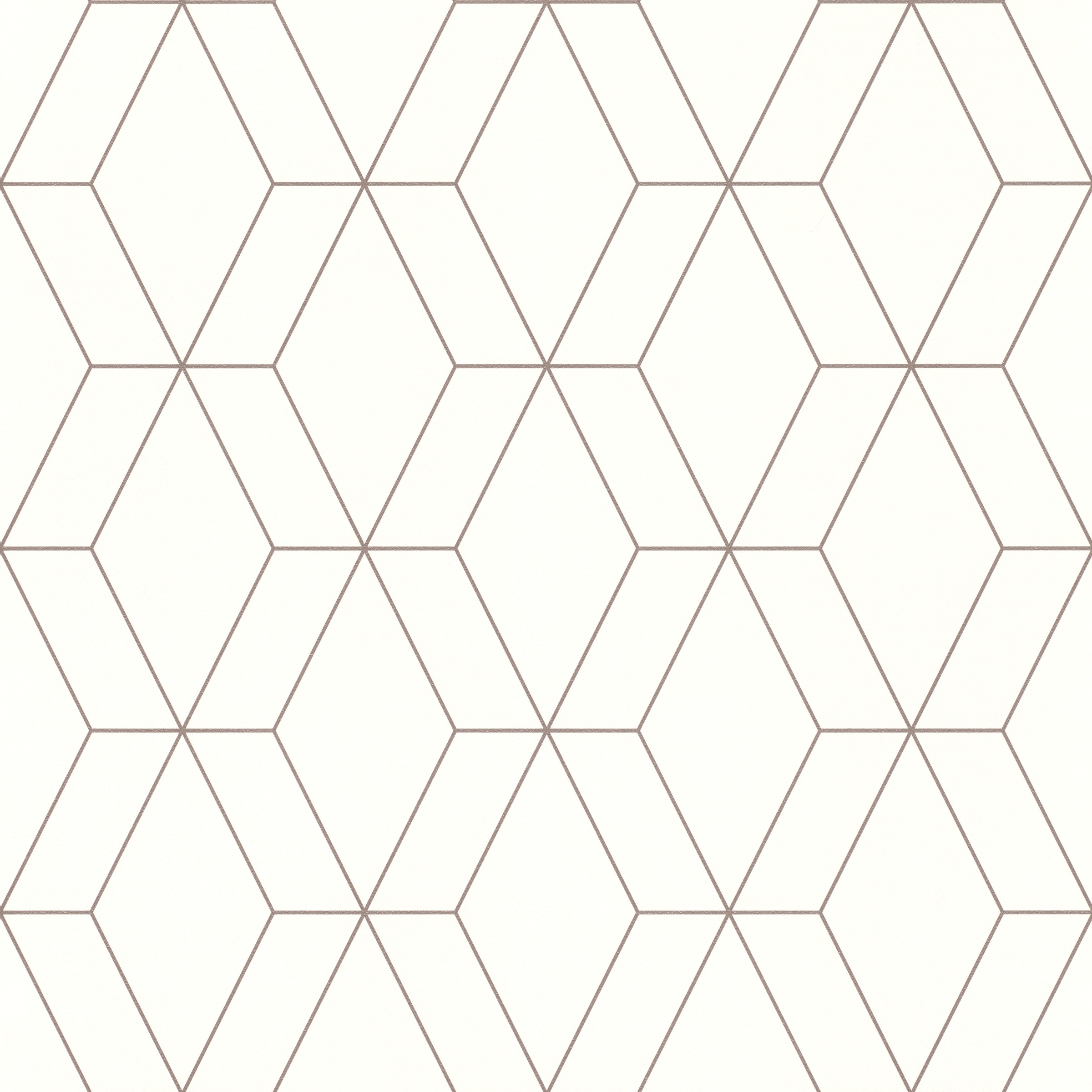 Rasch Papiertapete "Papiertapete mit geometrischen Linien 278613" geometris günstig online kaufen