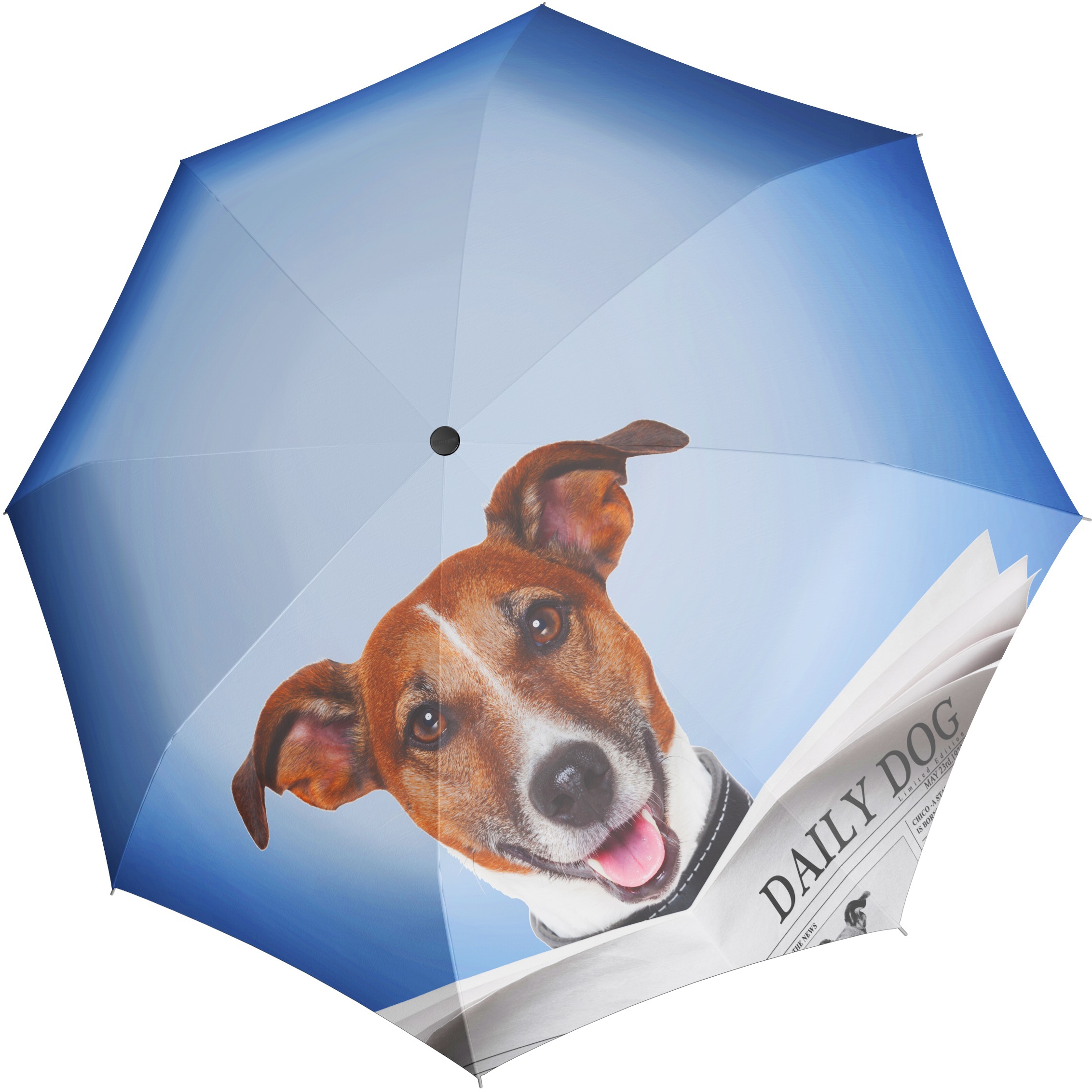 doppler® Taschenregenschirm »Modern Art Magic Mini, Daily Dog«