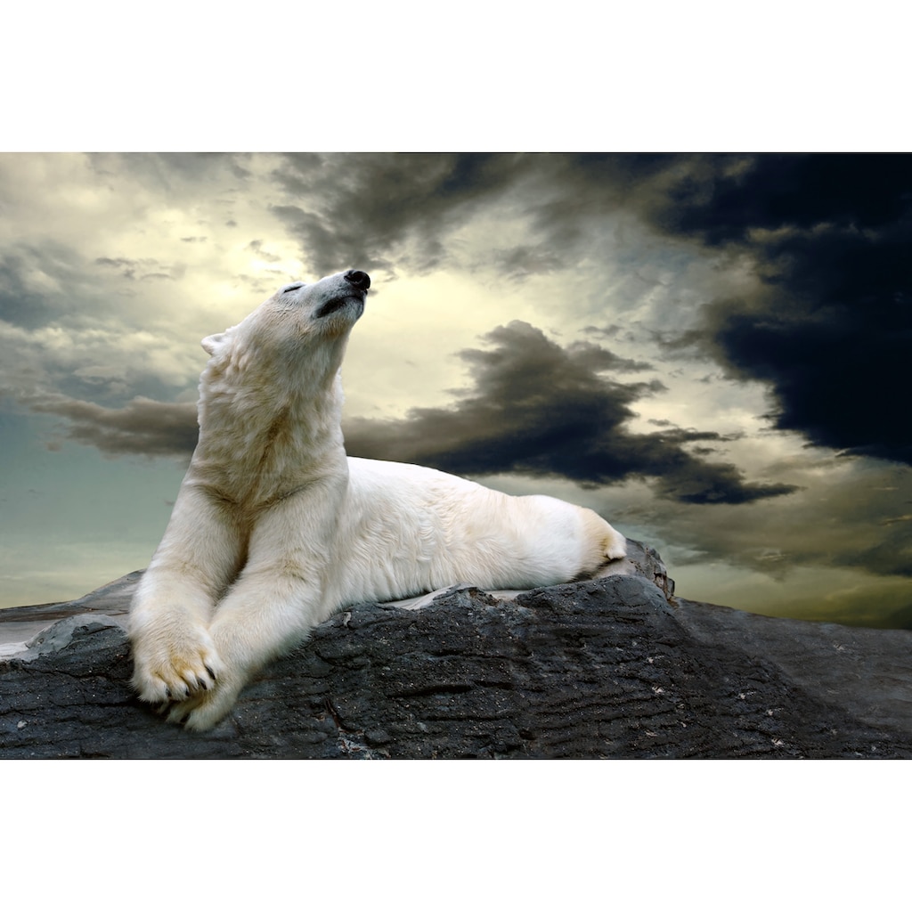 queence Wandsticker »White Bear«, (1 St.)