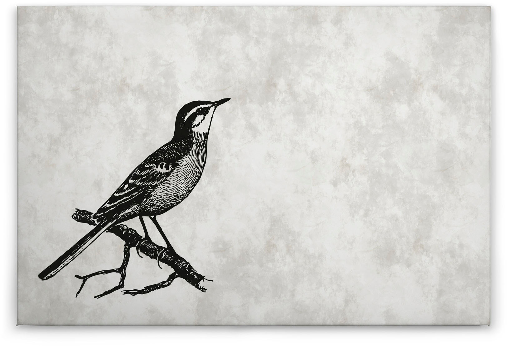 A.S. Création Leinwandbild »sketchpad 4«, Kunst-Vögel-Kinder, (1 St.), Schwarz-Weiß Zeichnung Vogel Keilrahmen Leinwand-Bild Wohnzimmer Wand