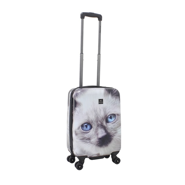 Saxoline® Koffer »White Cat«, mit niedlichem Katzenmotiv online kaufen |  BAUR