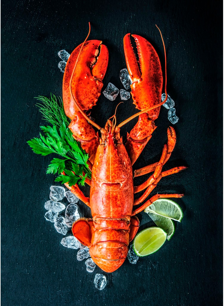 Geschirrtuch EGERIA, B:50cm L:70cm, schwarz, 100% Baumwolle, Geschirrtücher, "Küchentuch Digitalprint", 2x 50x70 cm, MADE IN GREEN by