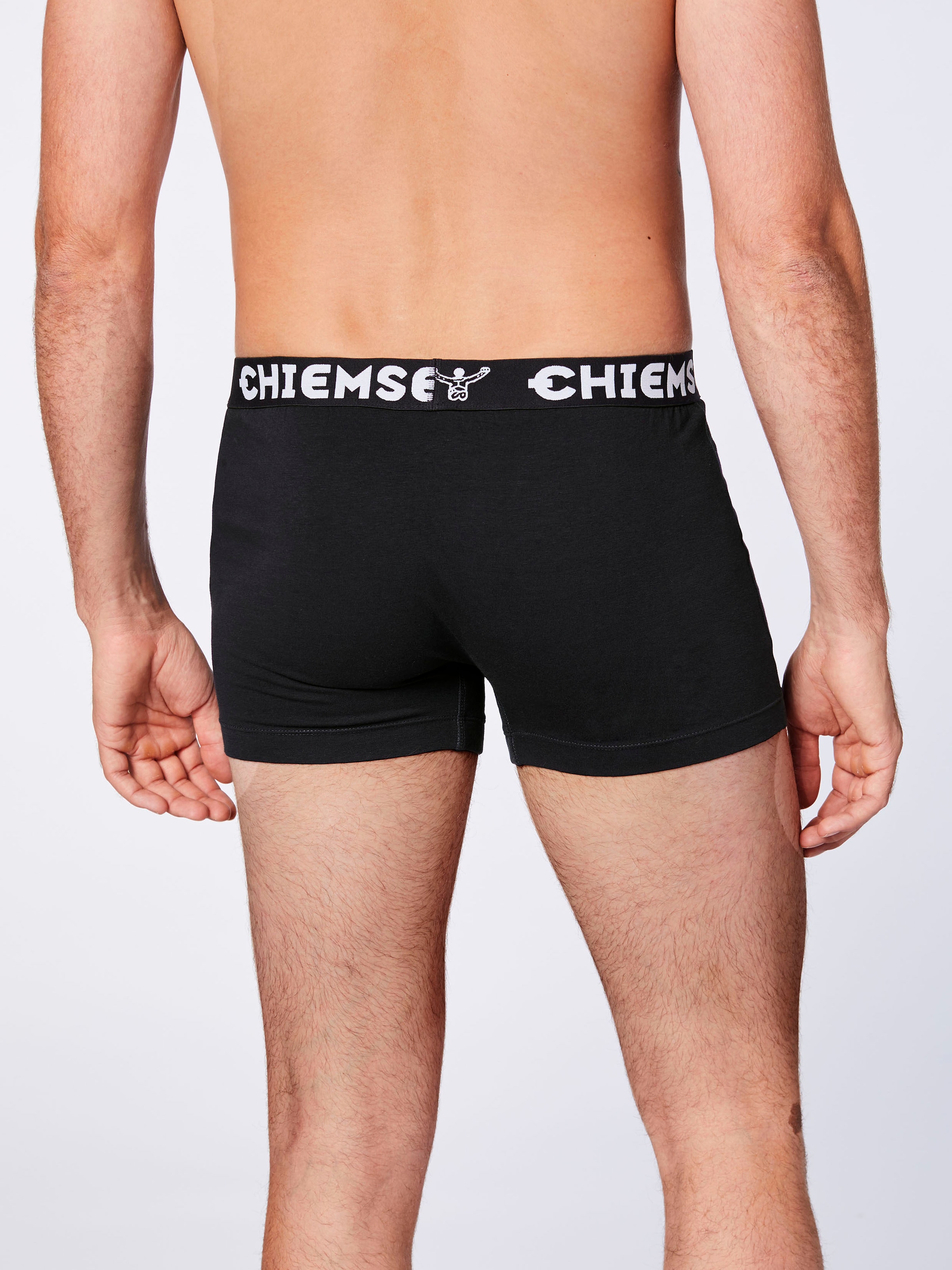 Chiemsee Boxer »Men, Pack of 6 Boxer Shorts«, (Packung, 6 St., 6)