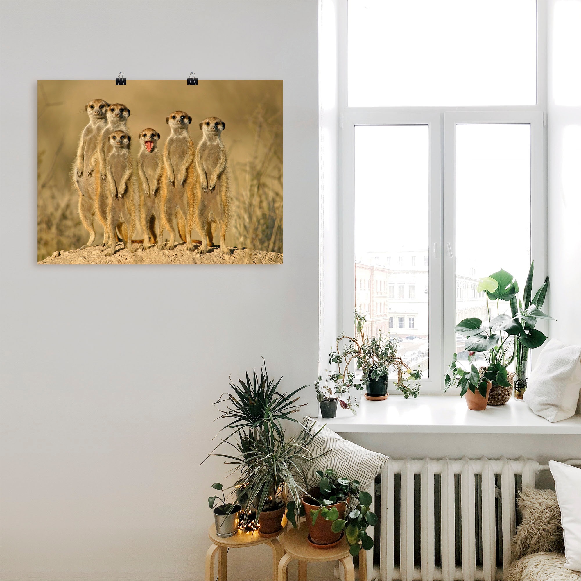 Artland Wandbild »Erdmännchen Familie« Wildtiere 1 Stk. tlg. als Alubild, Outdoorbild, Leinwandbild, Poster, Wandaufkleber