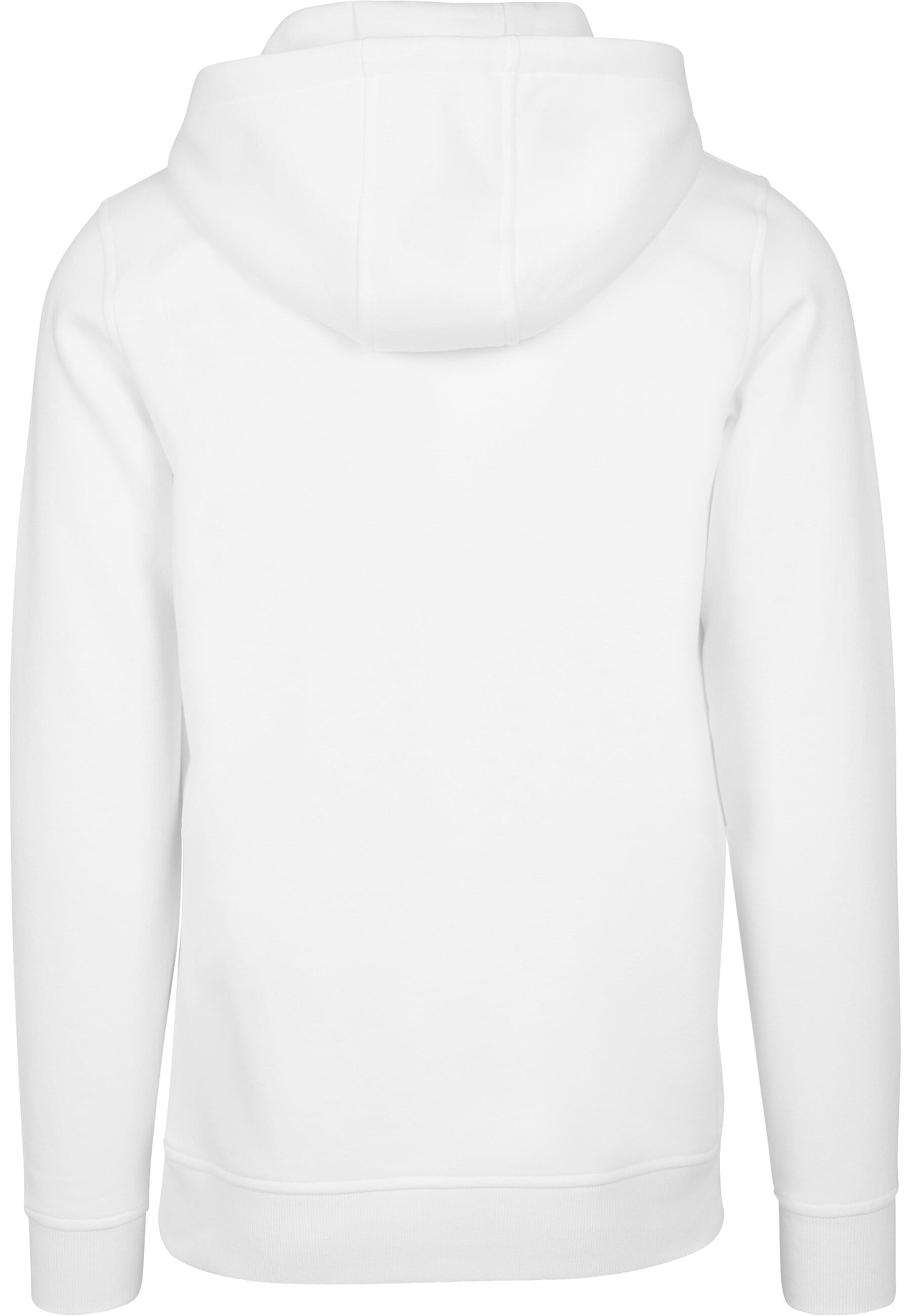MisterTee Kapuzensweatshirt »MisterTee Herren Seagull Sneakers Hoody«, (1 tlg.)