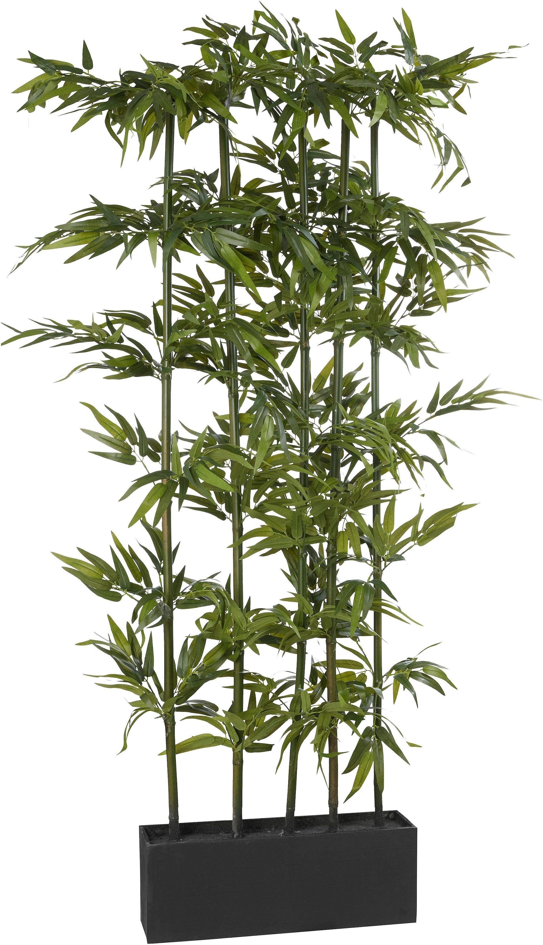 Creativ green Kunstpflanze »Bambus« kaufen | BAUR | Kunstbäume