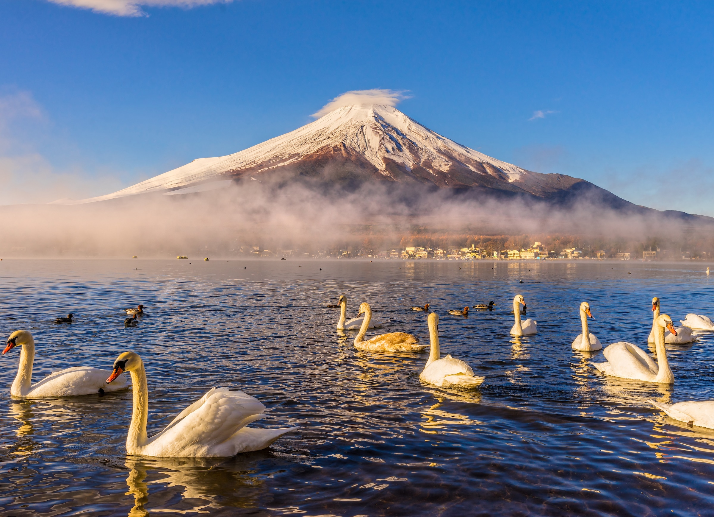 Papermoon Fototapete "Mount Fuji" glatt günstig online kaufen
