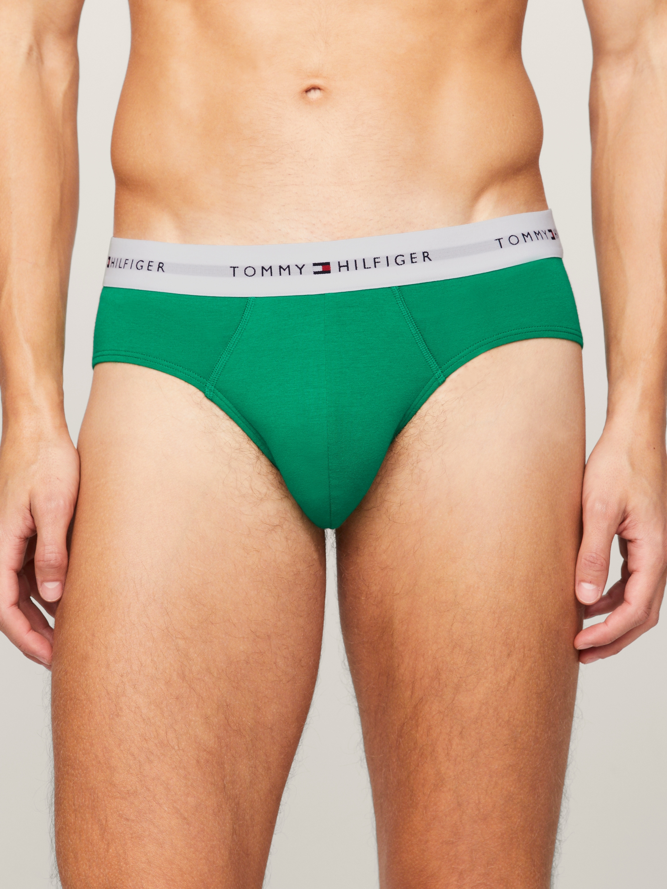 Tommy Hilfiger Underwear Slip »5P BRIEF«, (Packung, 5 St., 5er-Pack), mit Tommy Hilfiger Logo-Elastikbund