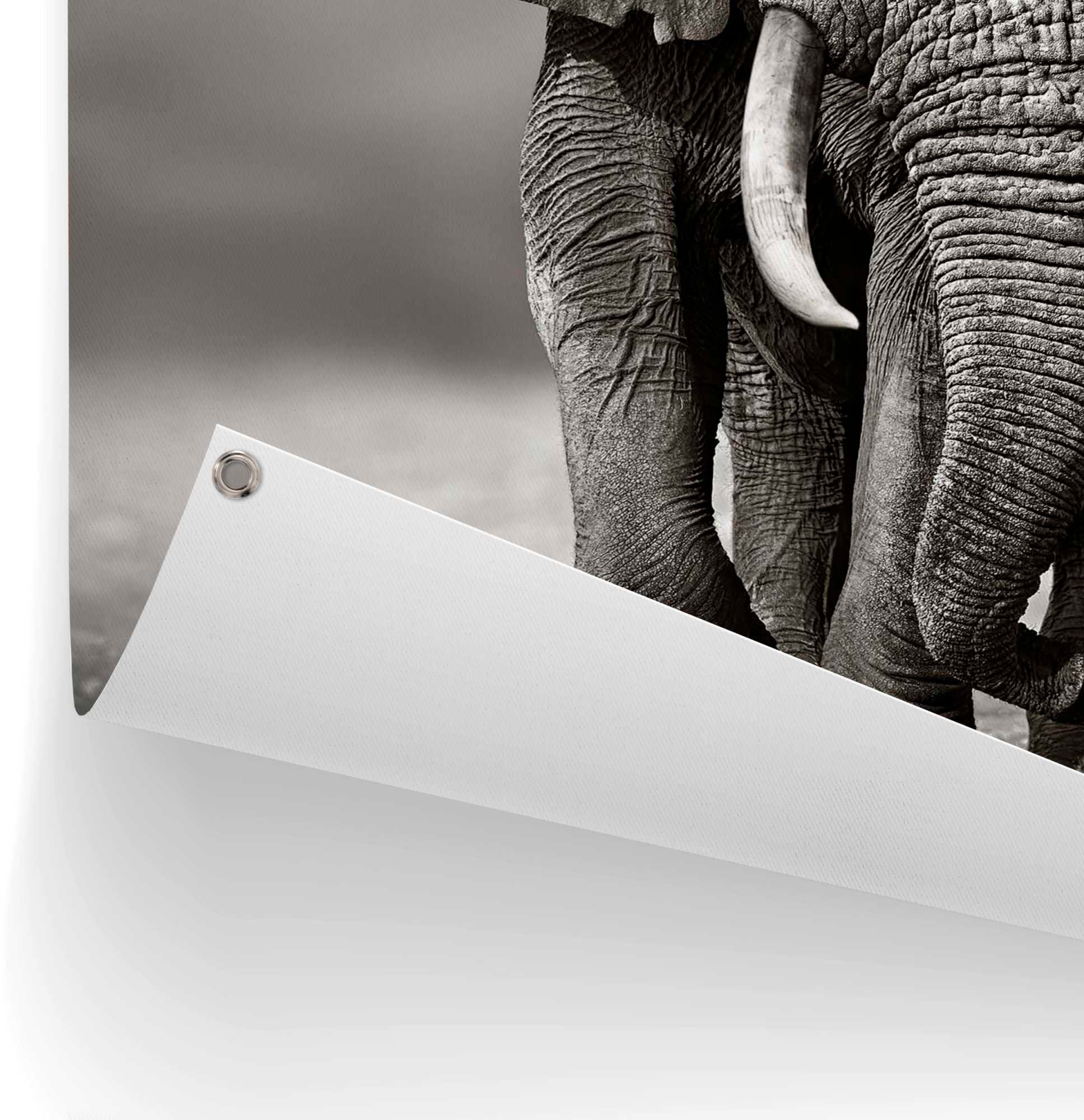 Reinders! Poster »Elefant«