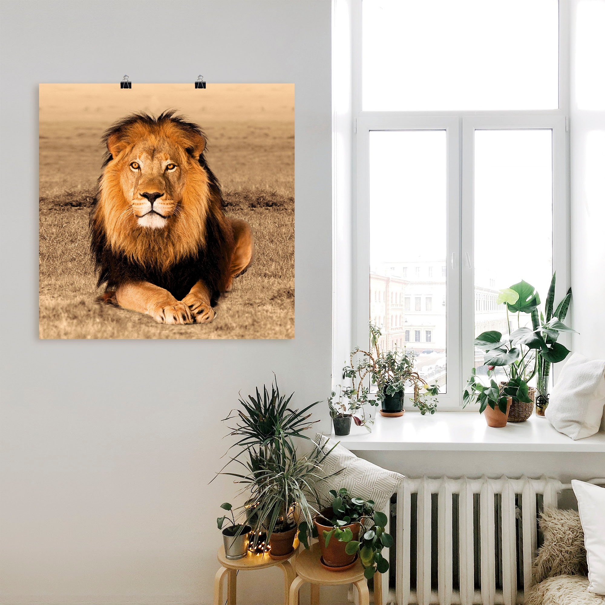 Artland Wandbild »Löwe«, Wildtiere, (1 St.), als Alubild, Outdoorbild, Leinwandbild, Poster, Wandaufkleber